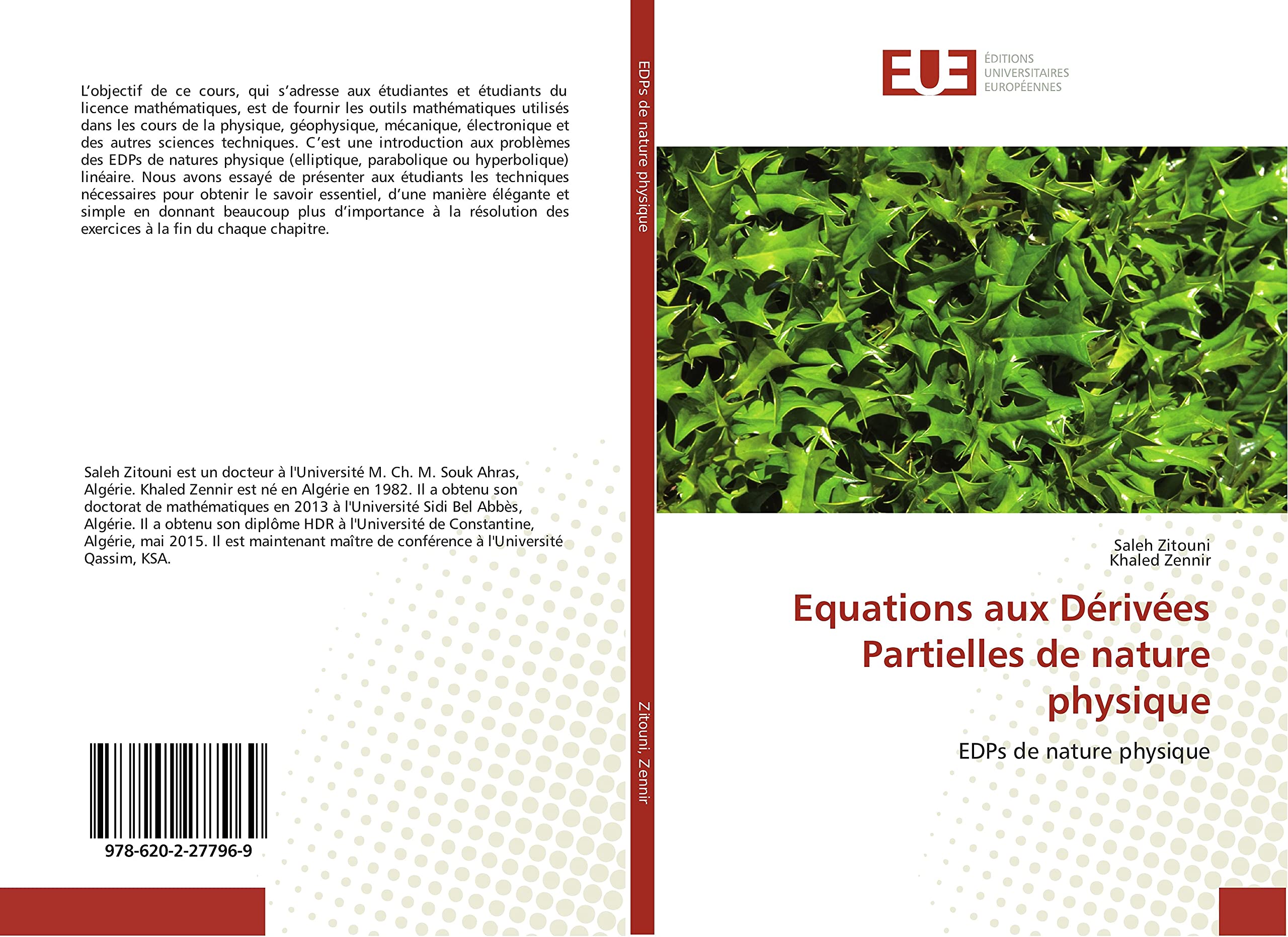 Equations aux Dérivées Partielles de nature physique book