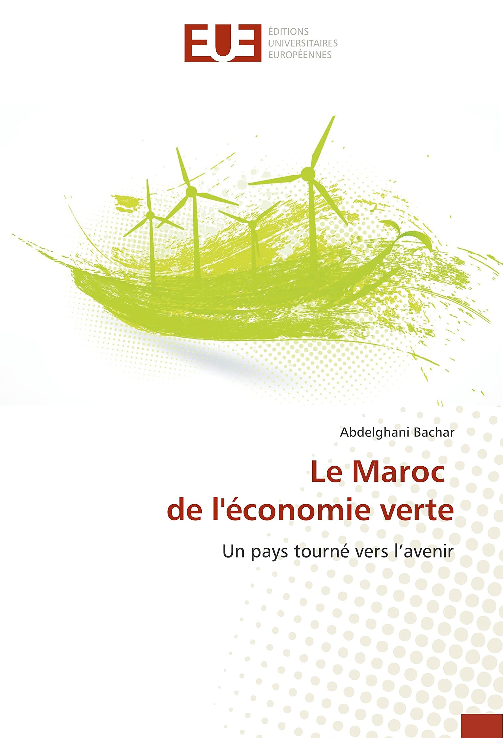 Le Maroc de l'économie verte: Un pays tourné vers l’avenir book