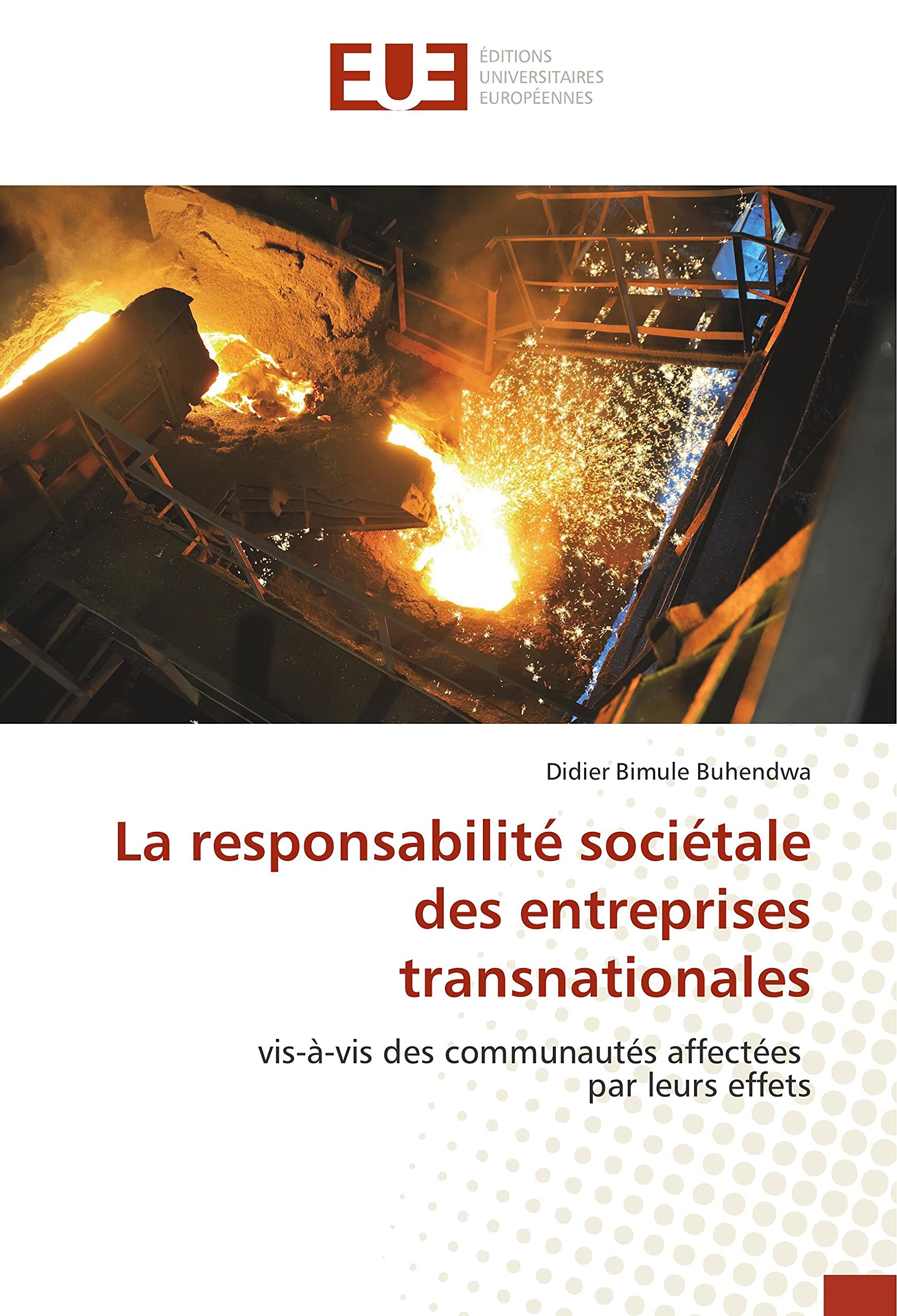 La responsabilité sociétale des entreprises transnationales: vis-à-vis des communautés affectées par leurs effets book