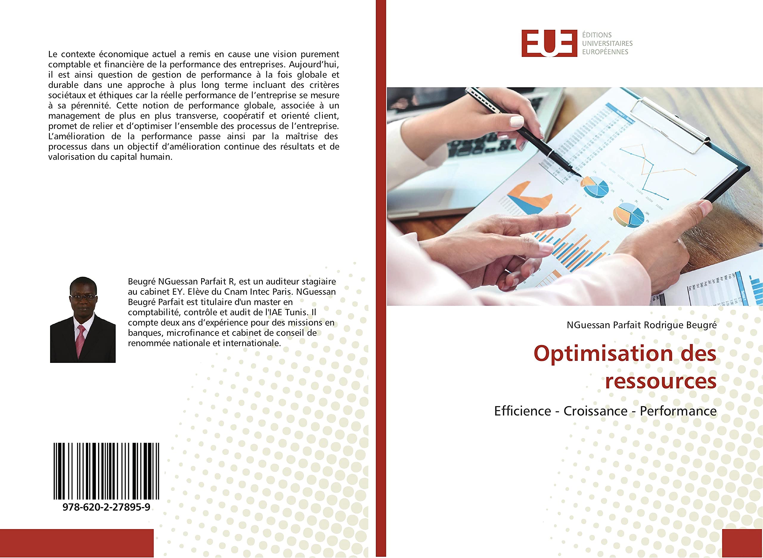 Optimisation des ressources: Efficience - Croissance - Performance book