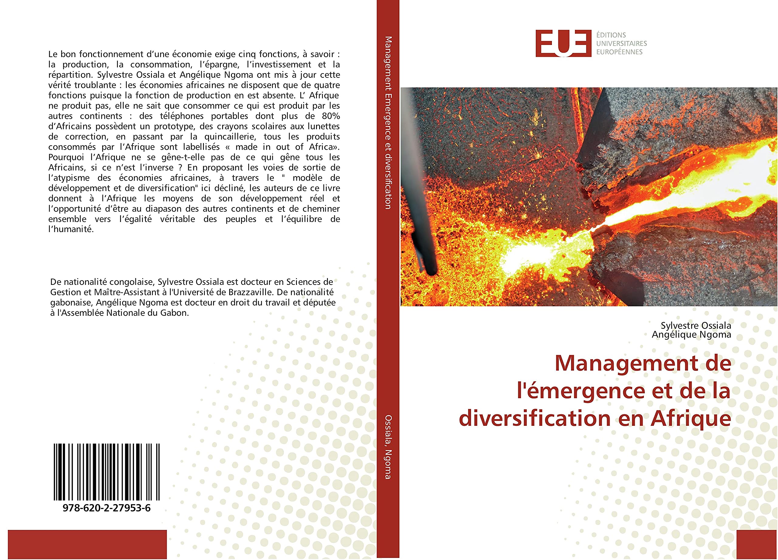 Management de l'émergence et de la diversification en Afrique book