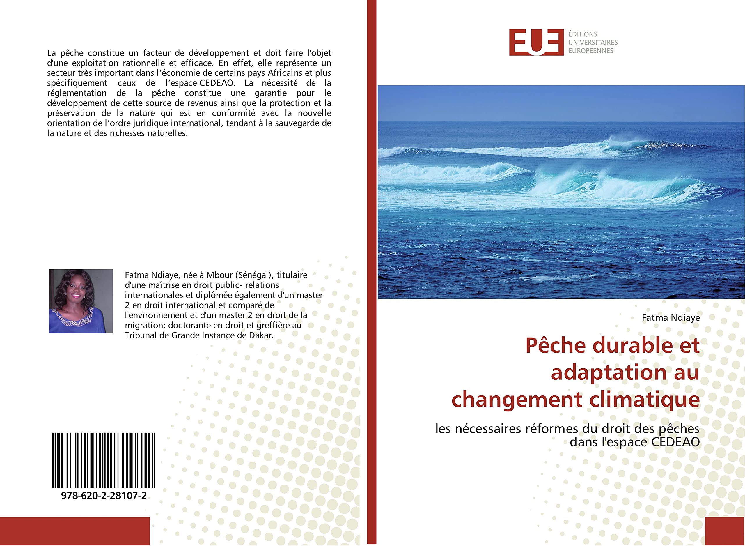 Peche durableet adaptation au changement climatique: Les necessaires reformes du droit des pEches dans l'espace CeDeAO book