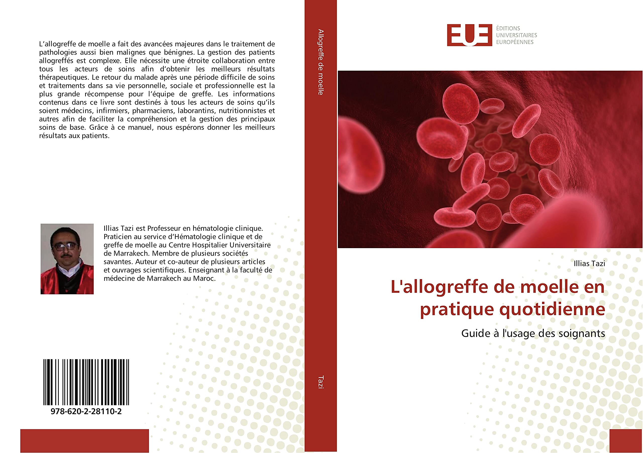 L'allogreffe de moelle en pratique quotidienne: Guide A l'usage des soignants book