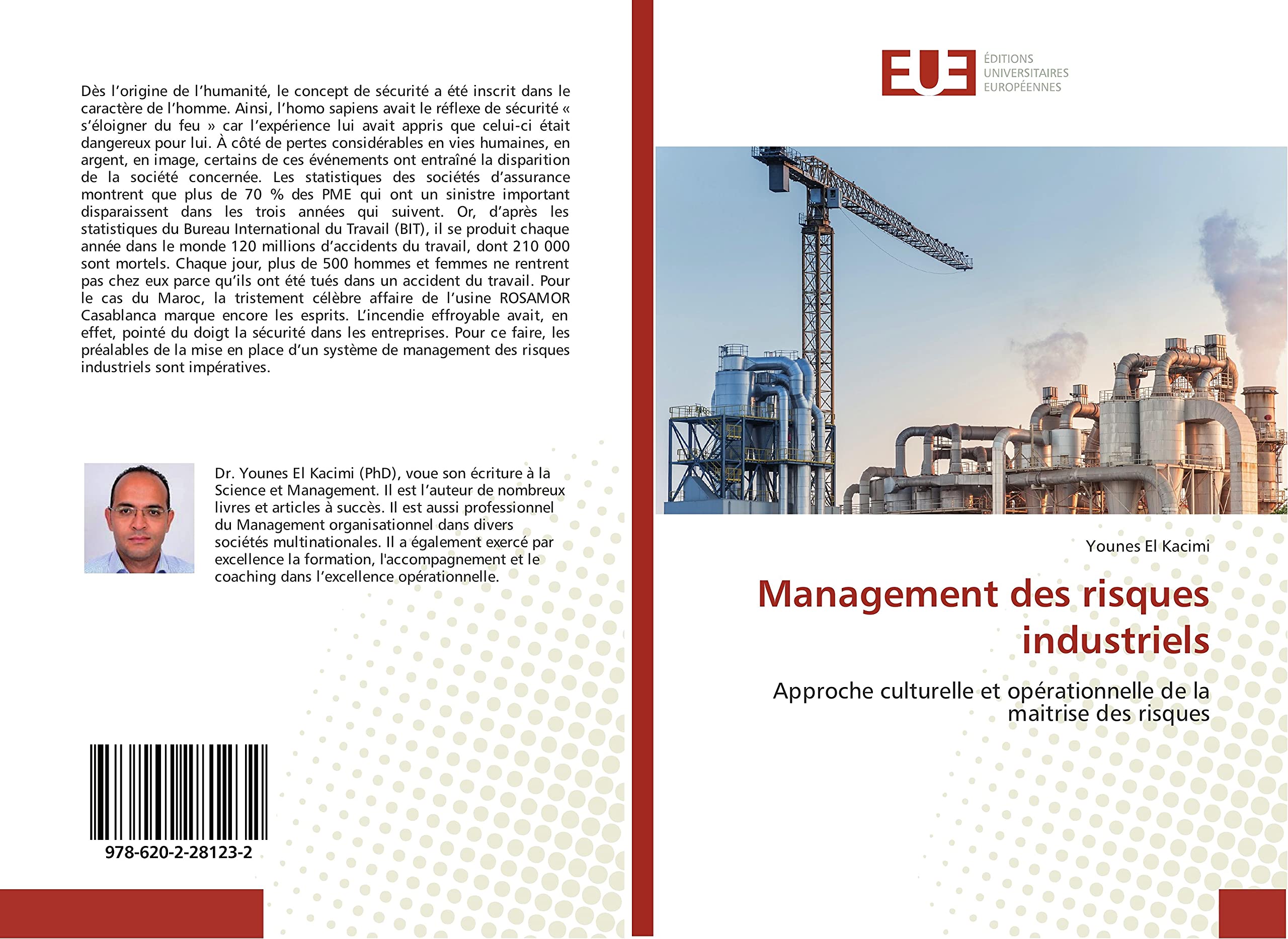 Management des risques industriels: Approche culturelle et opérationnelle de la maitrise des risques book