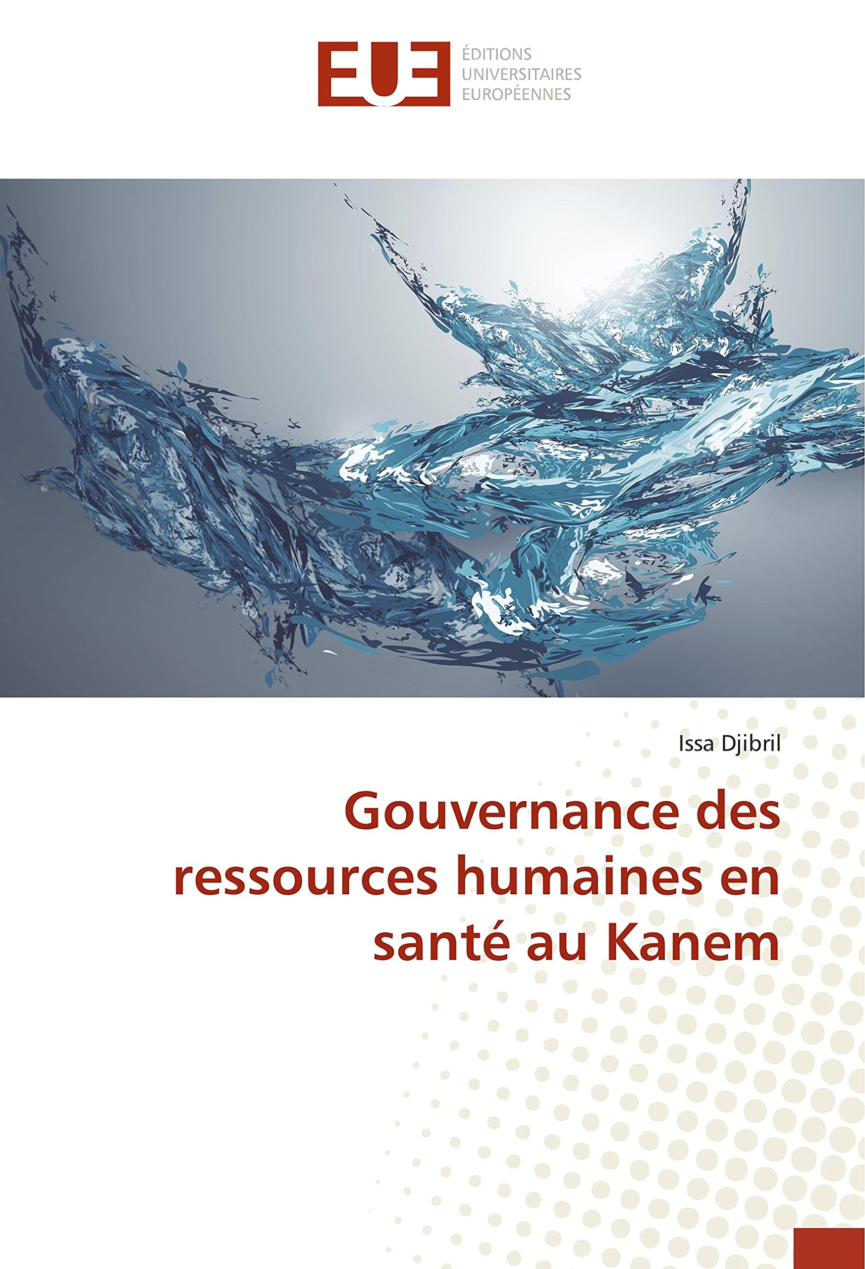 Gouvernance des ressources humaines en santé au Kanem book