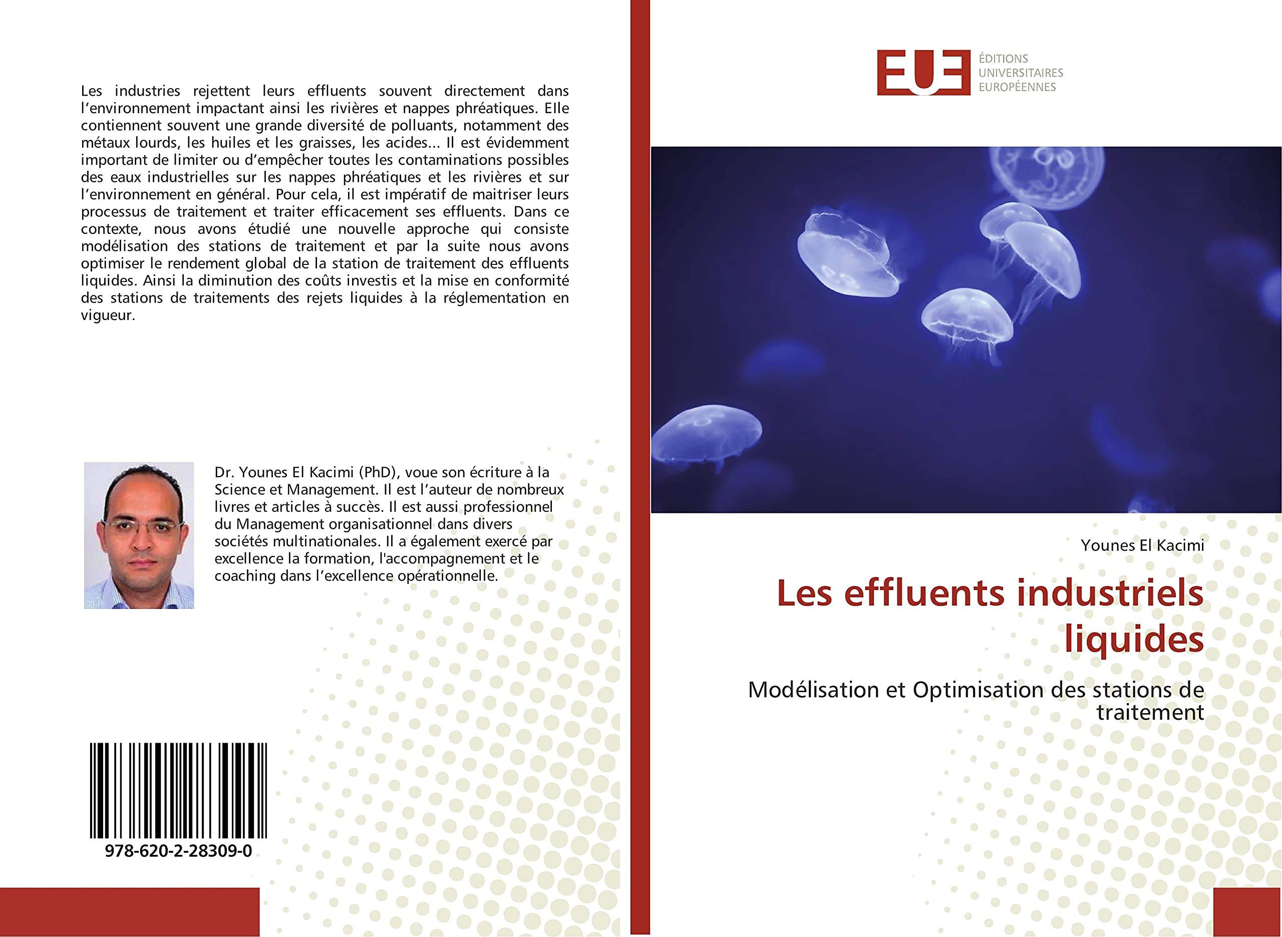 Les effluents industriels liquides: Modelisation et Optimisation des stations de traitement book