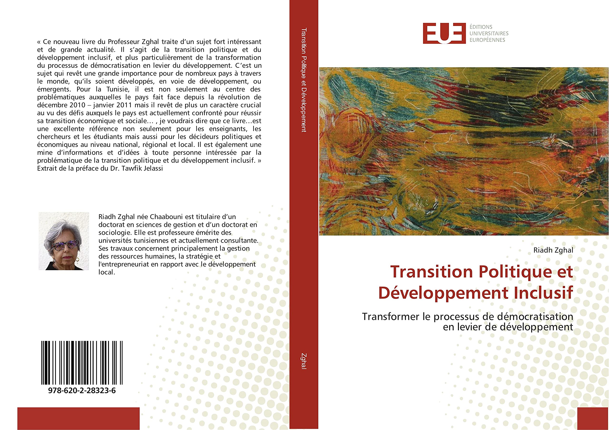 Transition Politique et Développement Inclusif book