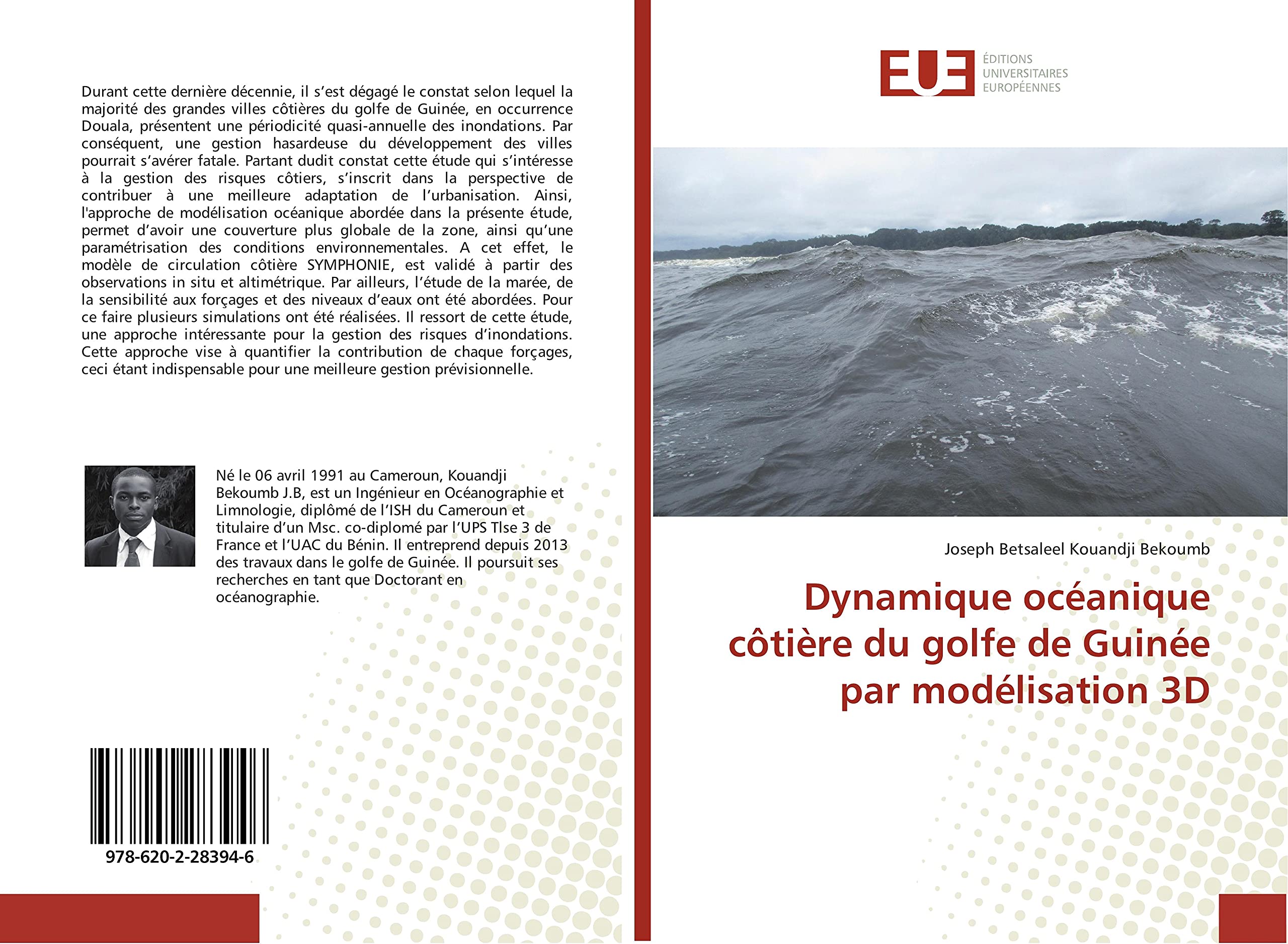 Dynamique océanique côtière du golfe de Guinée par modélisation 3D book