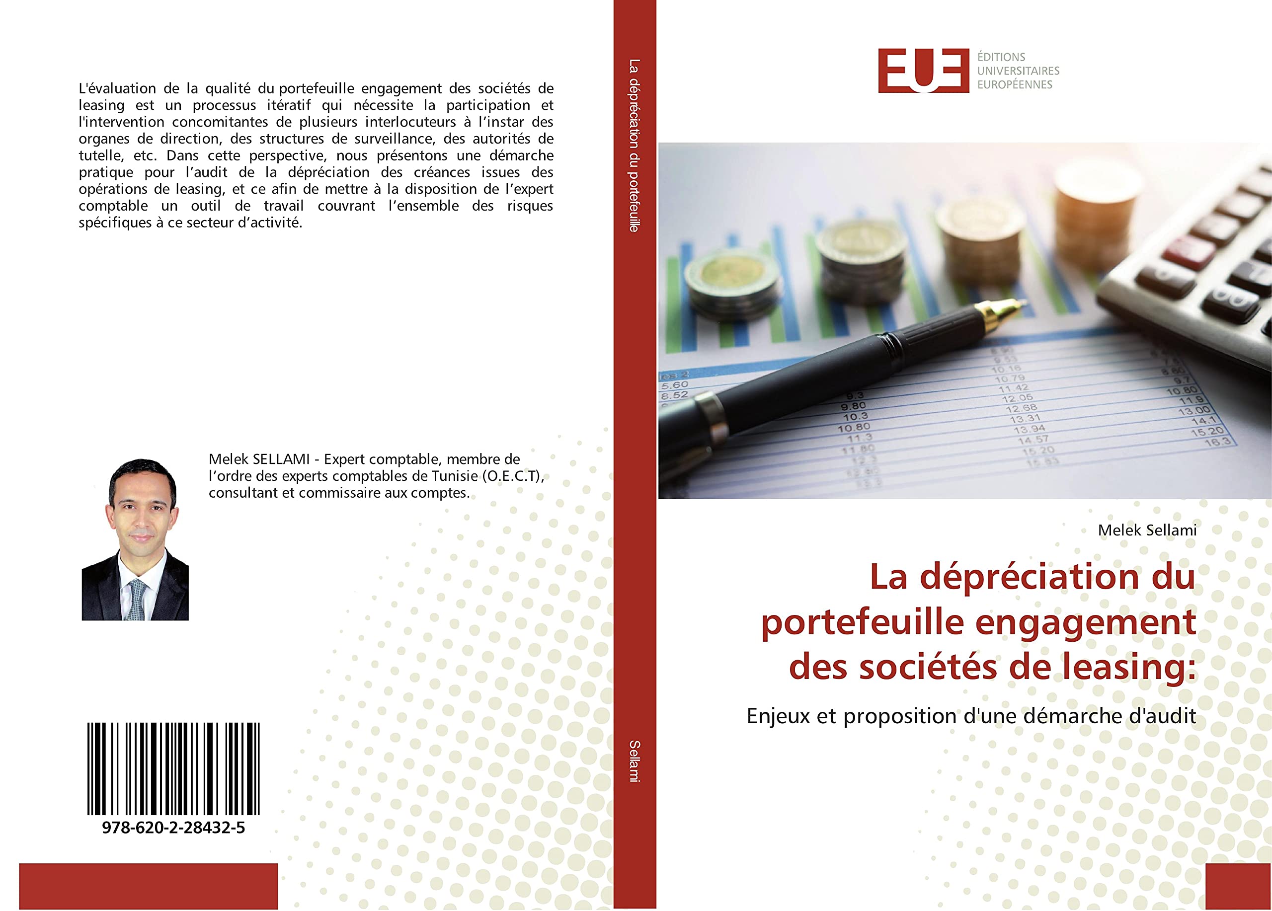 La depreciation du portefeuille engagement des societes de leasing:: Enjeux et proposition d'une demarche d'audit book