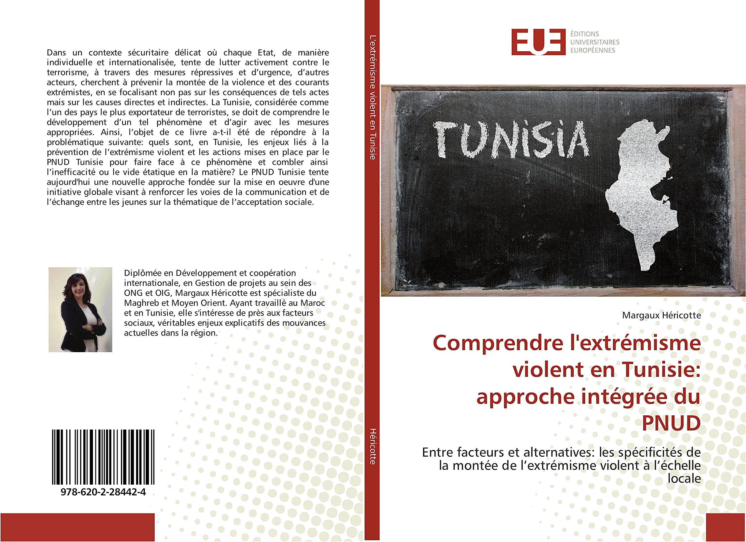 Comprendre l'extrémisme violent en Tunisie: approche intégrée du PNUD book