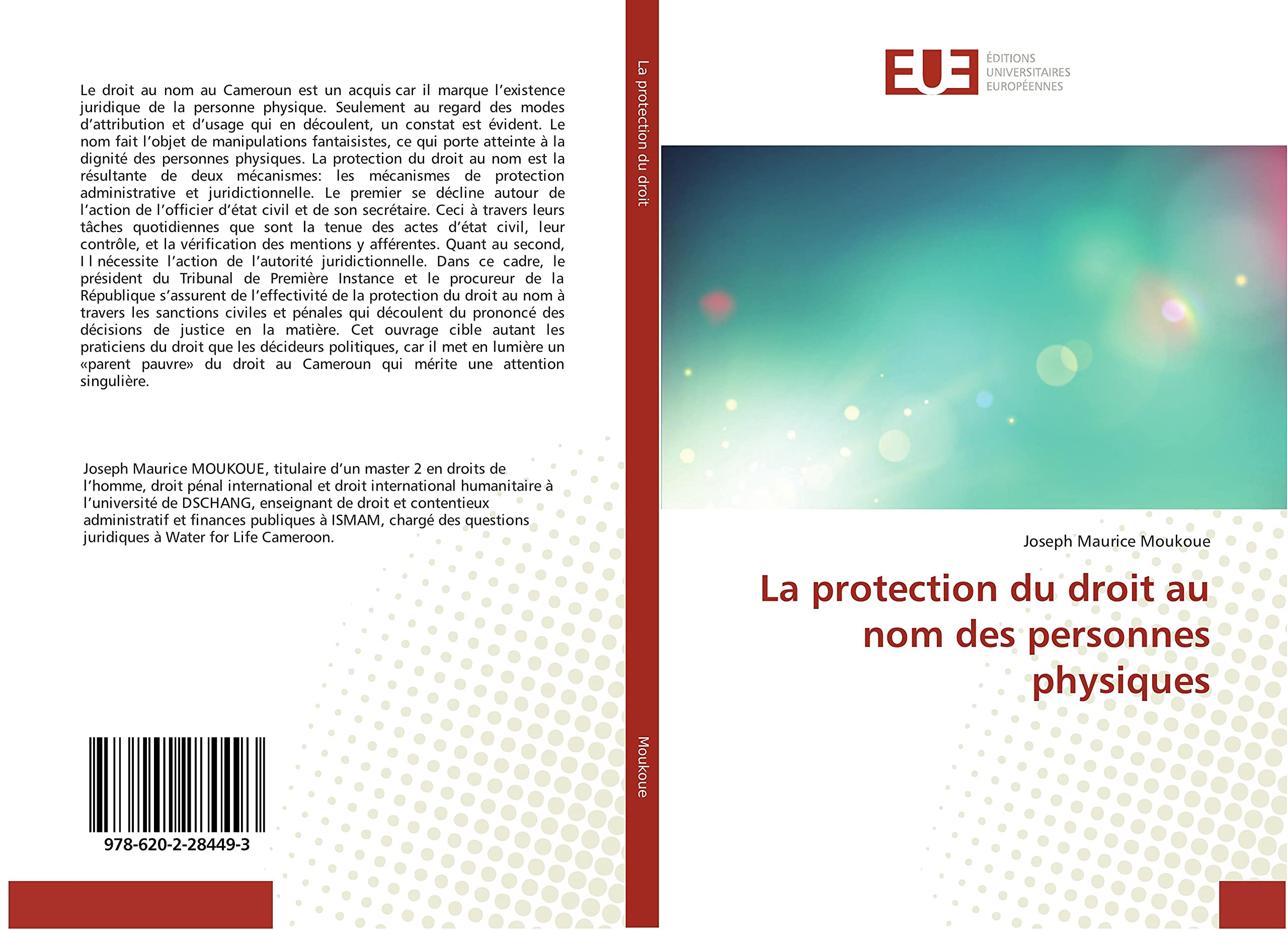 La protection du droit au nom des personnes physiques book
