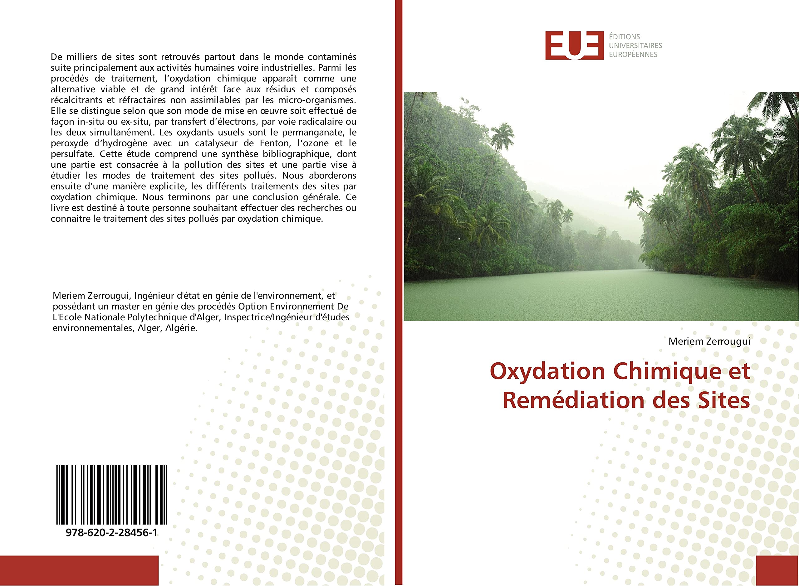 Oxydation Chimique et Remédiation des Sites book