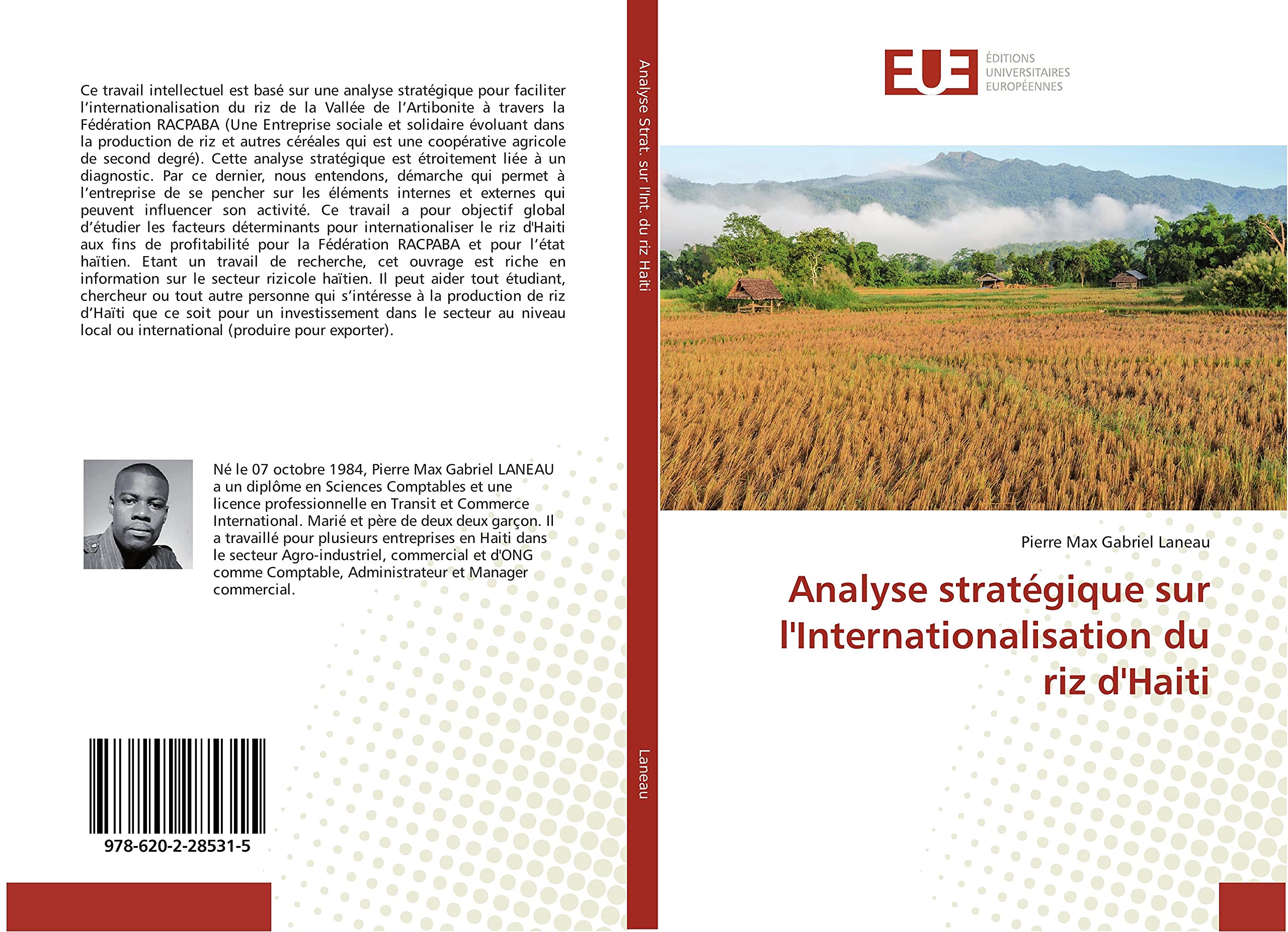Analyse stratégique sur l'Internationalisation du riz d'Haiti book