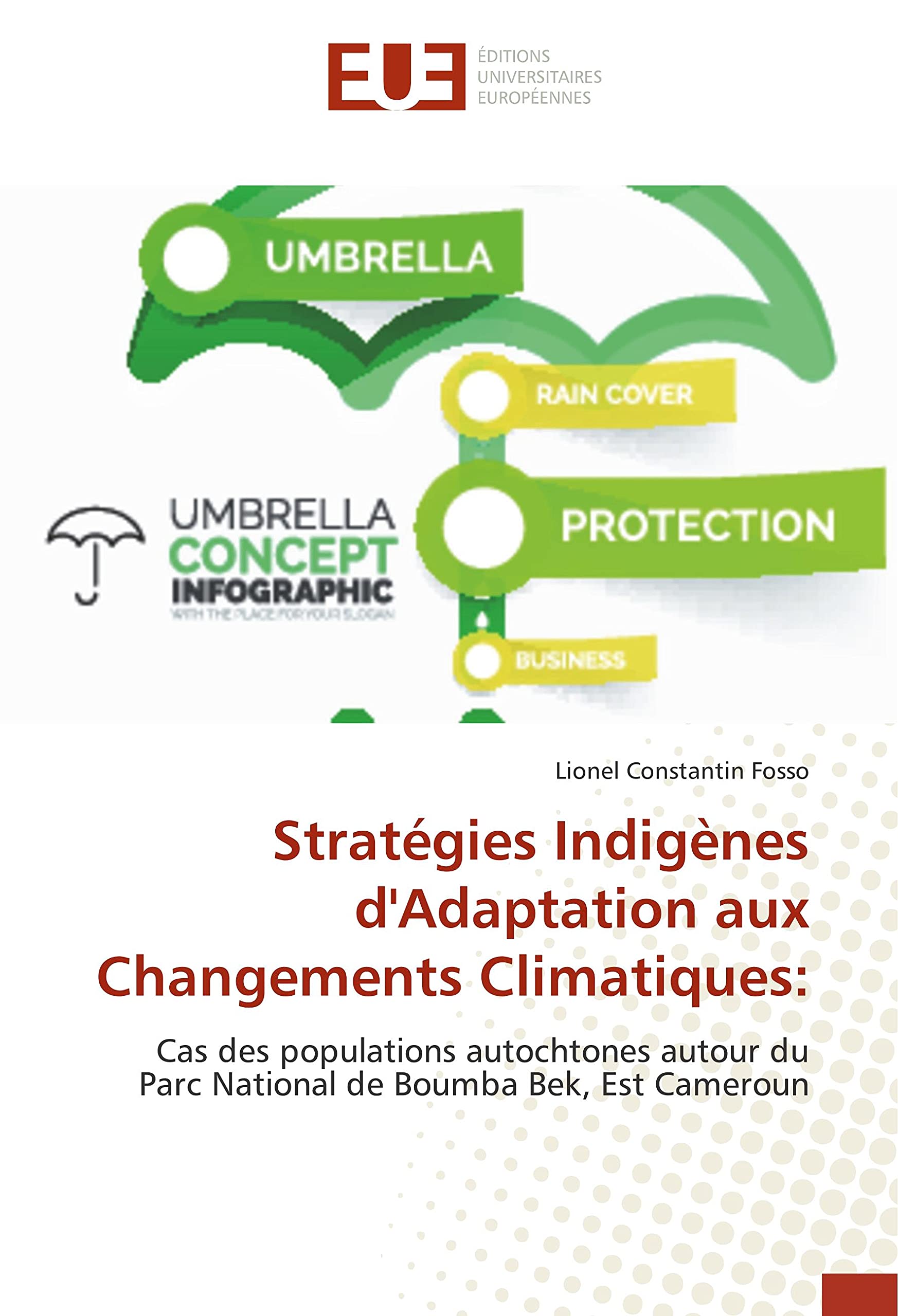Stratégies Indigènes d'Adaptation aux Changements Climatiques: book