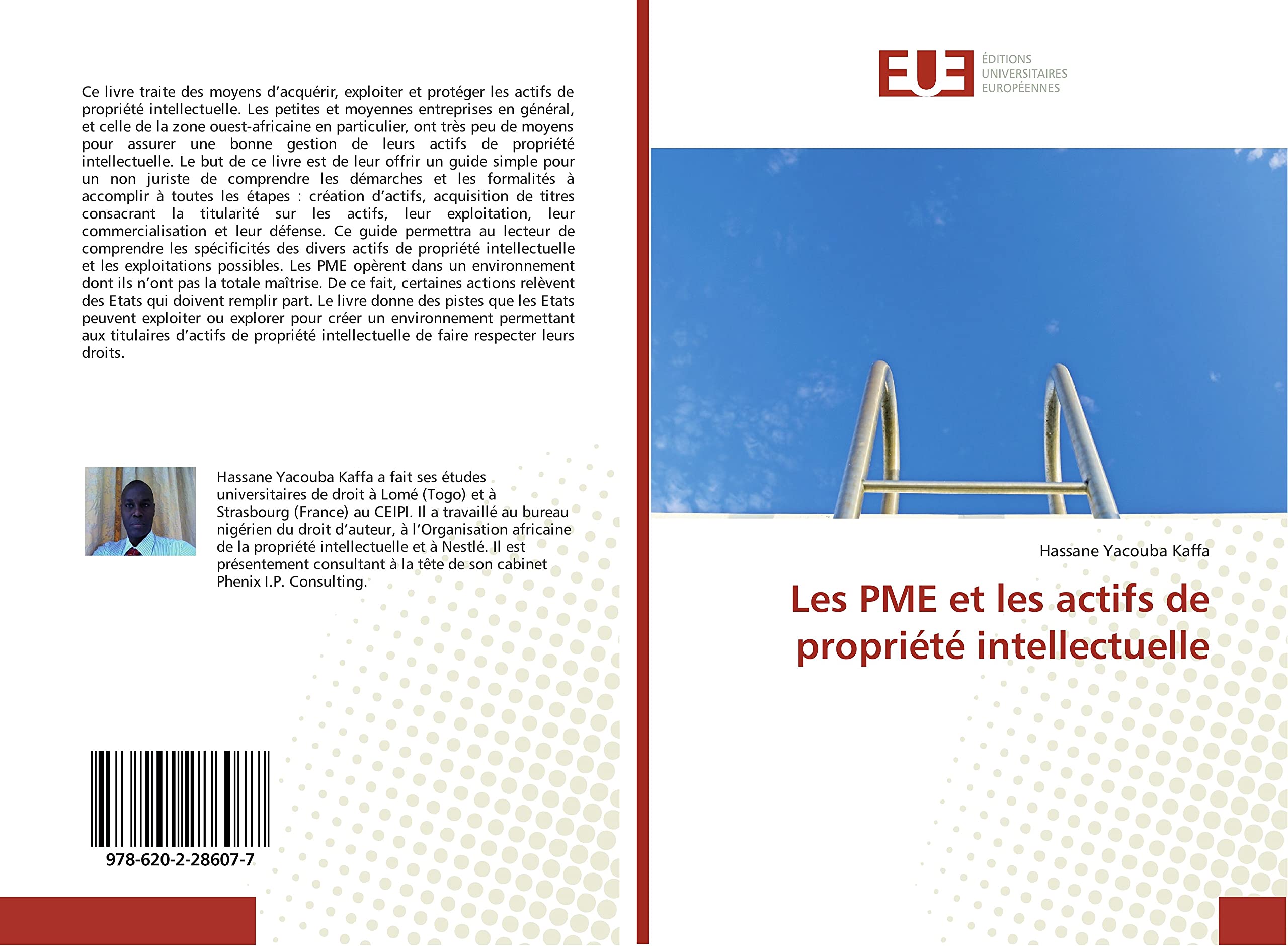 Les PME et les actifs de propriété intellectuelle book