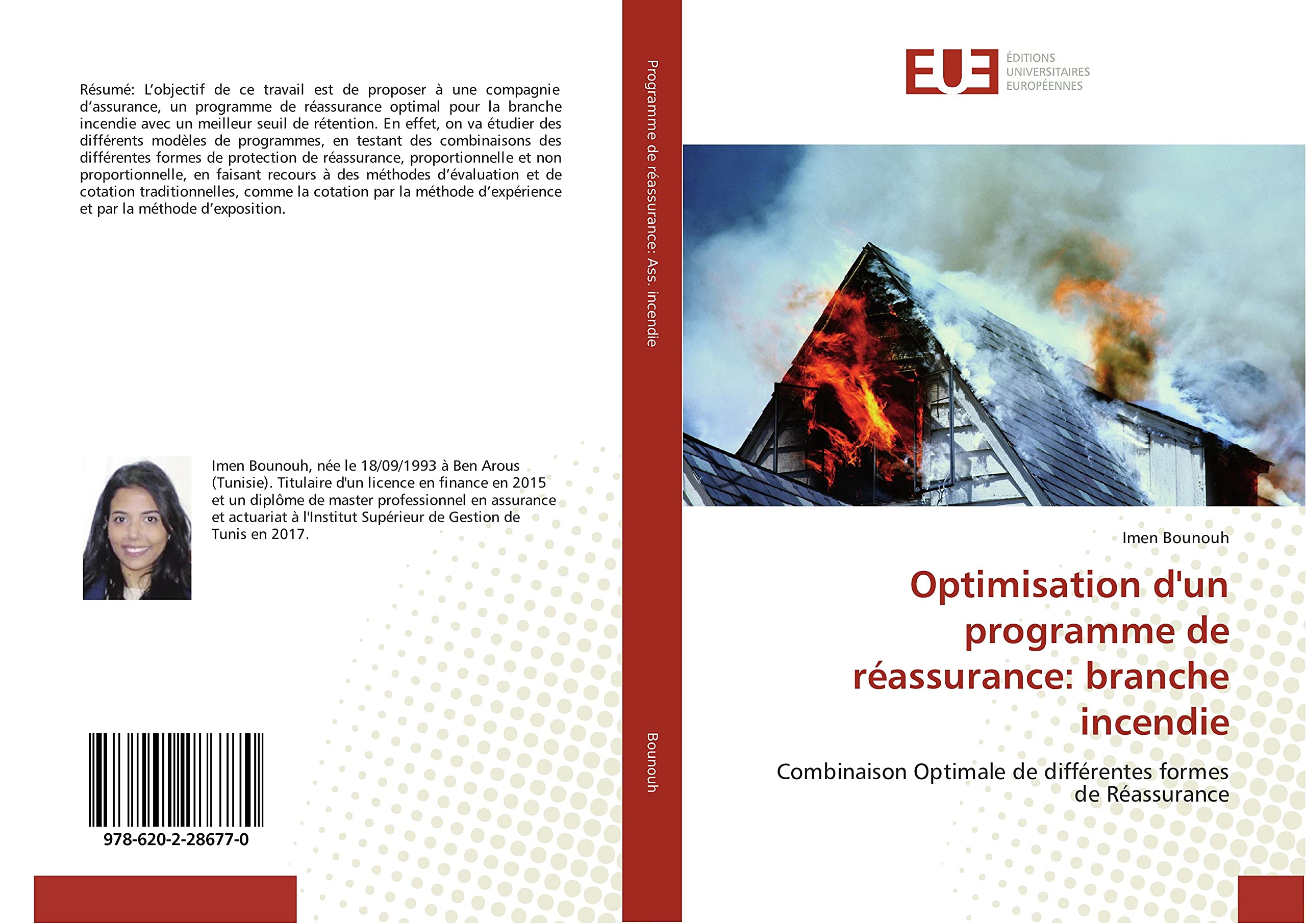 Optimisation d'un programme de reassurance: branche incendie: Combinaison Optimale de diffèrentes formes de Reassurance book