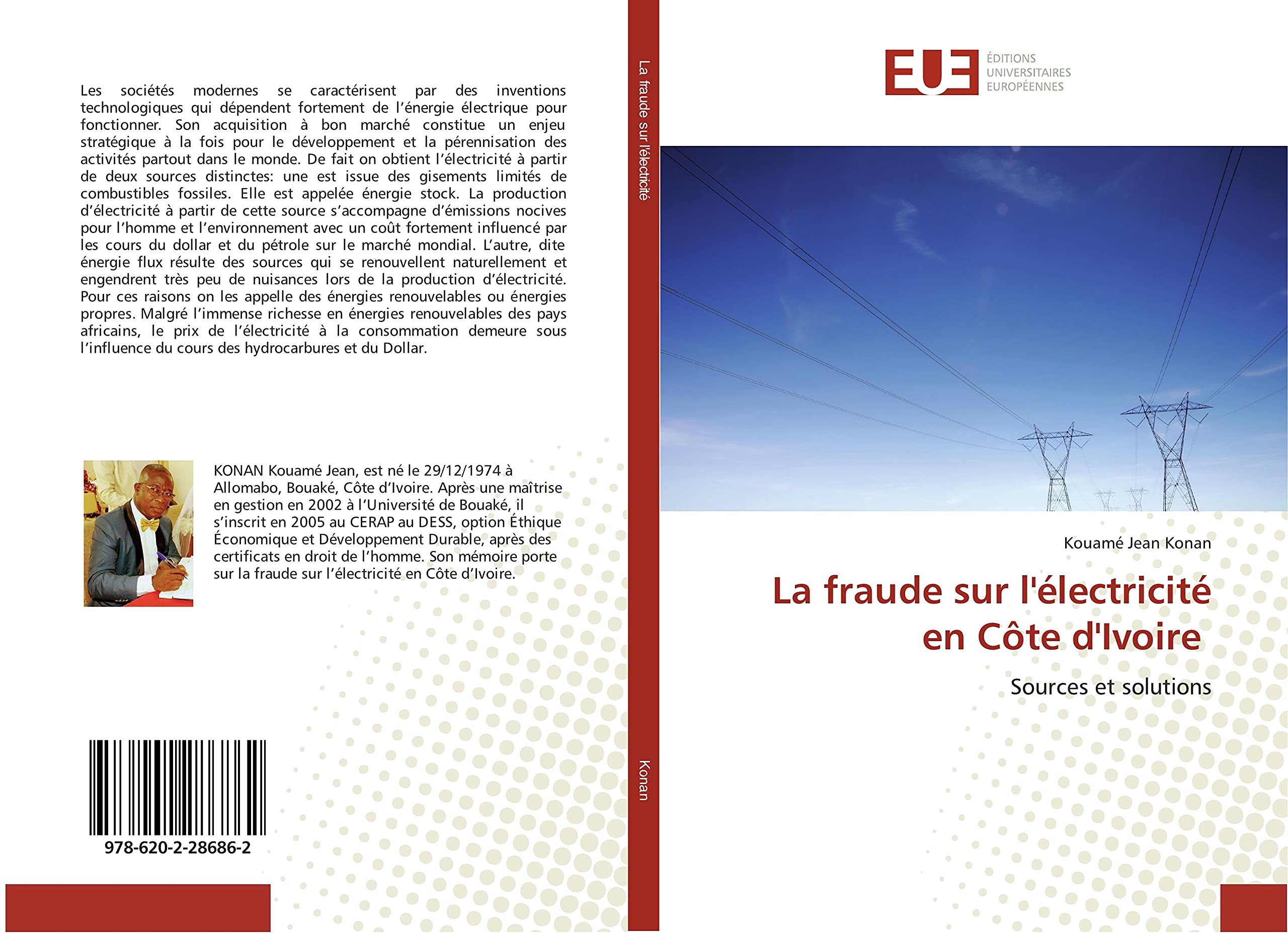 La fraude sur l'electricite en cote d'Ivoire: Sources et solutions book