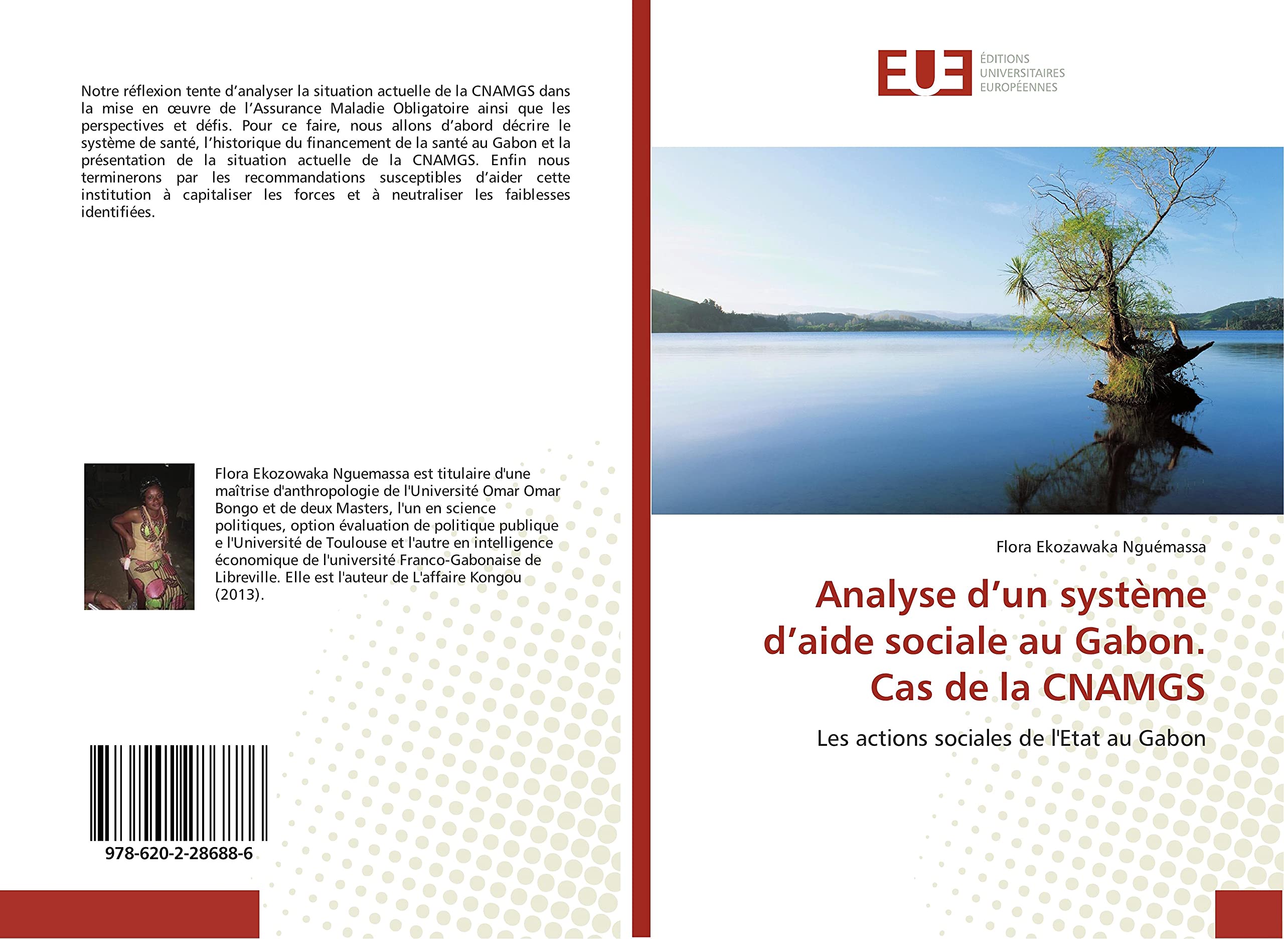 Analyse d'un système d'aide sociale au Gabon. Cas de la CNAMGS book