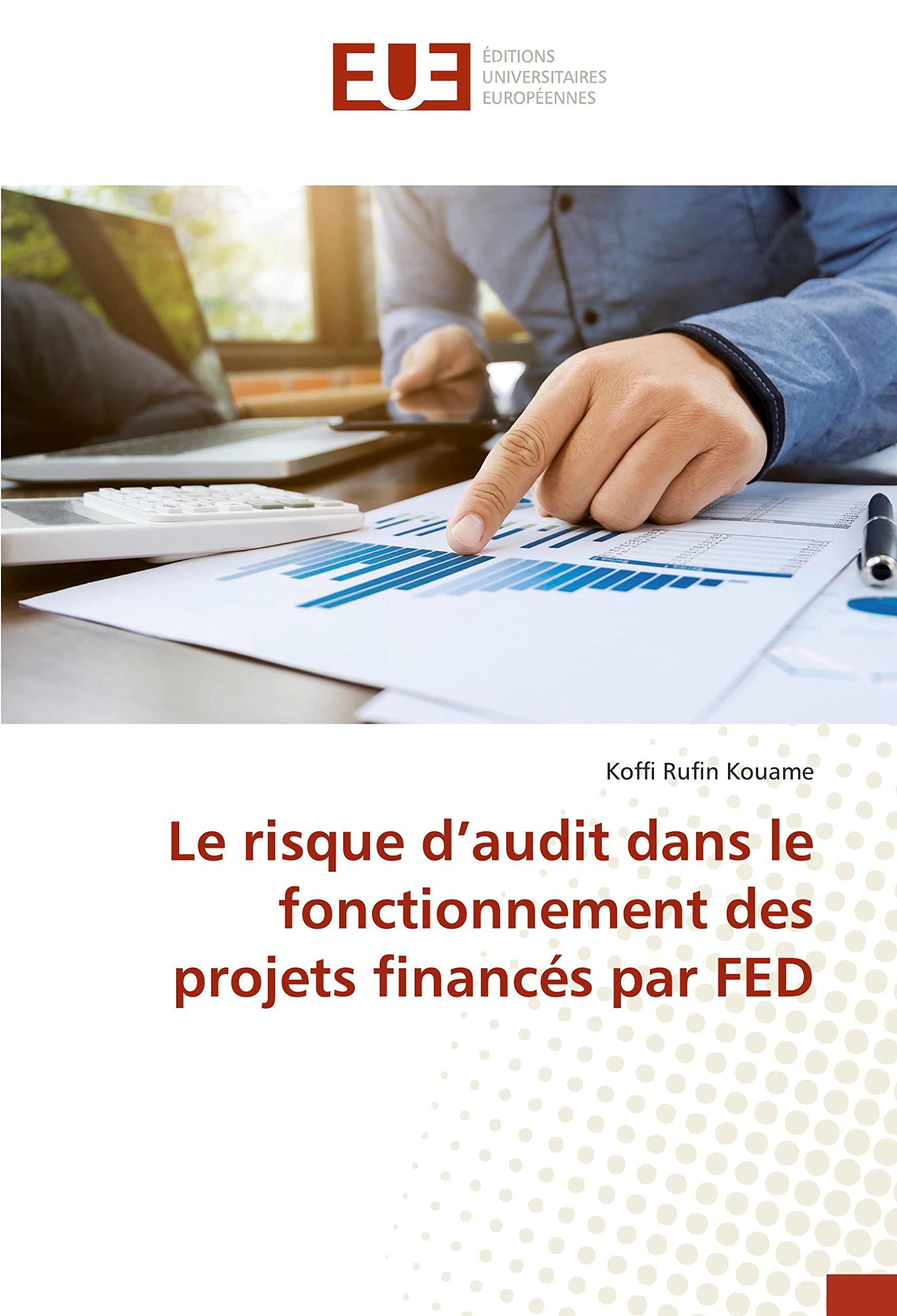 Le risque d'audit dans le fonctionnement des projets finances par FeD book
