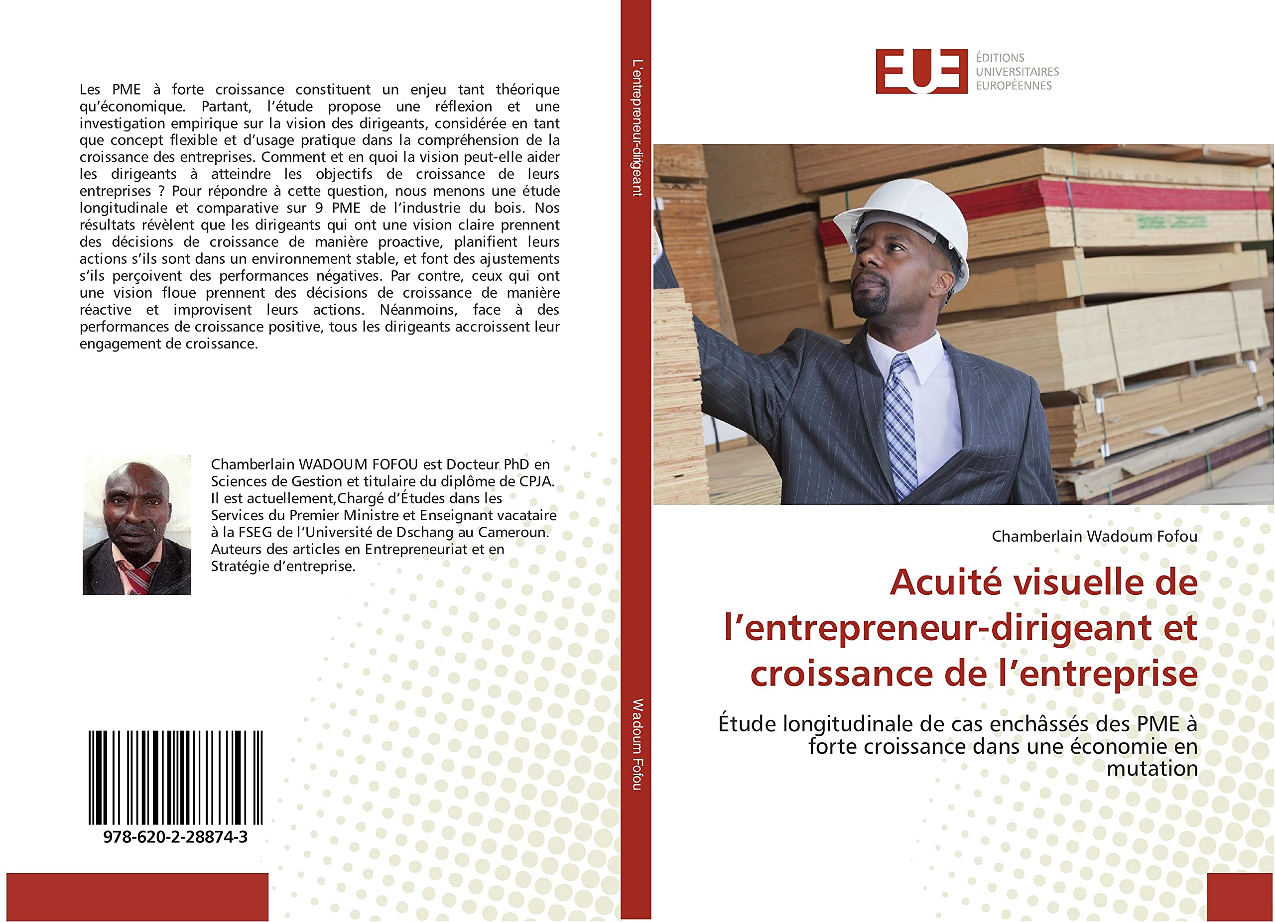 Acuité visuelle de l'entrepreneur-dirigeant et croissance de l'entreprise book