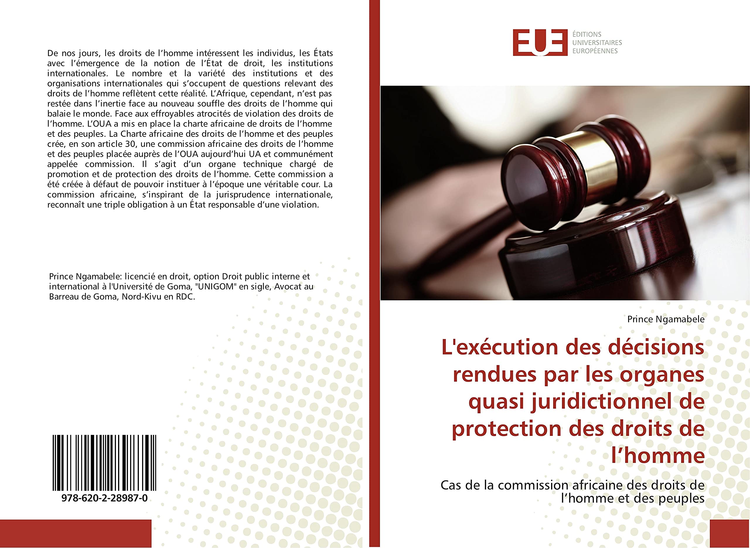 L'execution des decisions rendues par les organes quasi juridictionnel de protection des droits: Cas de la commission africaine des droits de l'homme et des peuples book