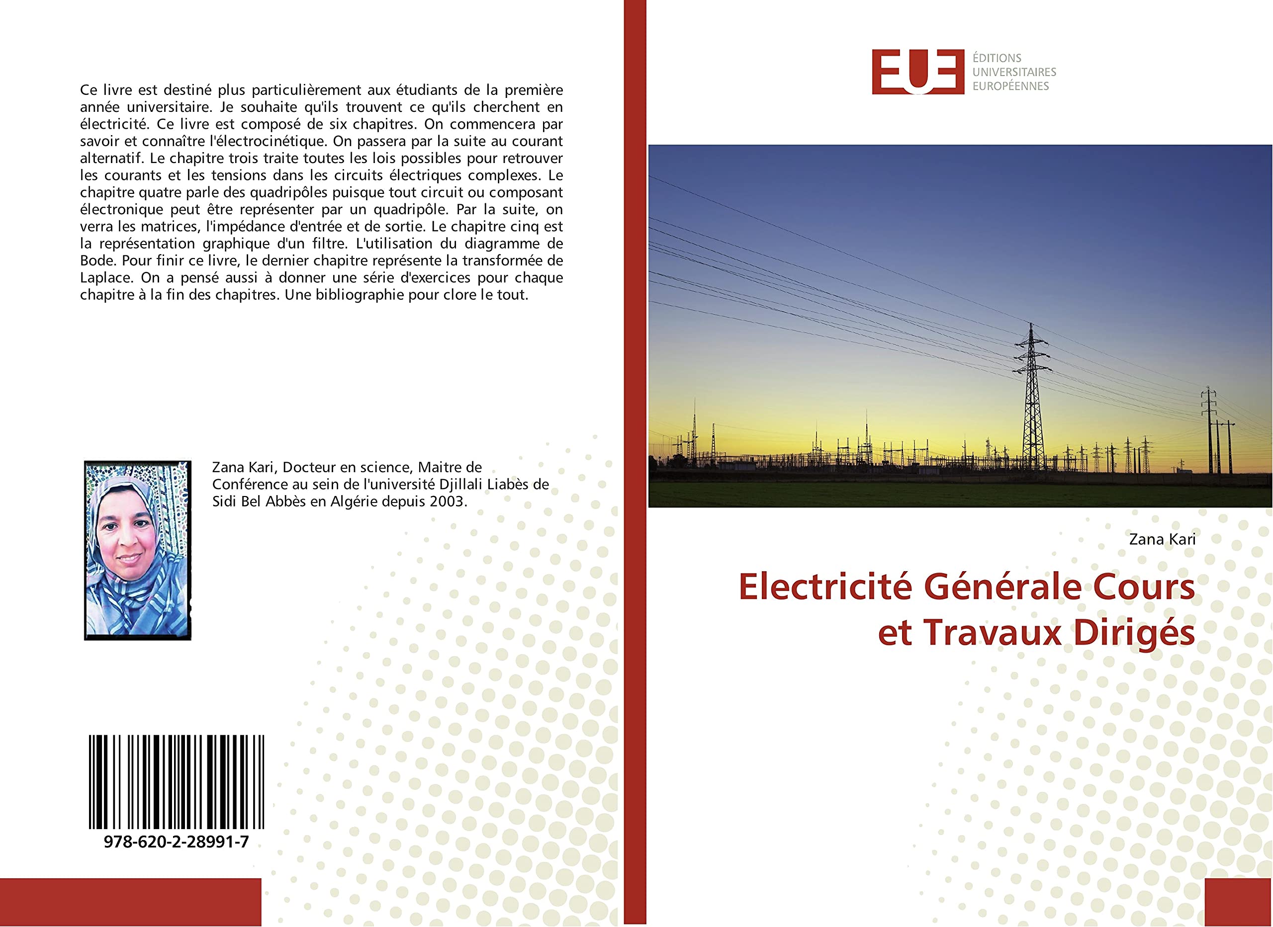 Electricite Generale Cours et Travaux Diriges book