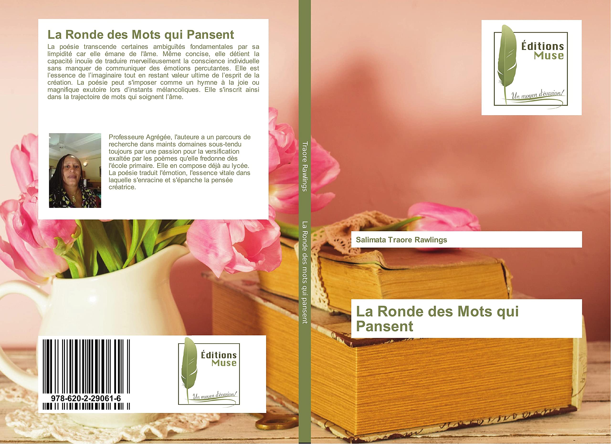 La Ronde des Mots qui Pansent book