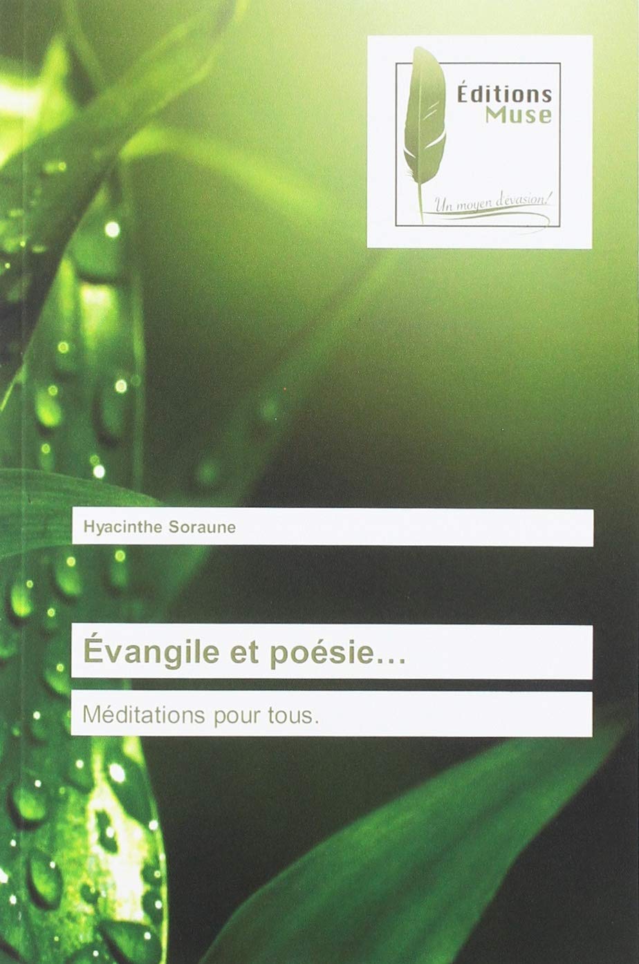 Évangile et poésie…: Méditations pour tous. book