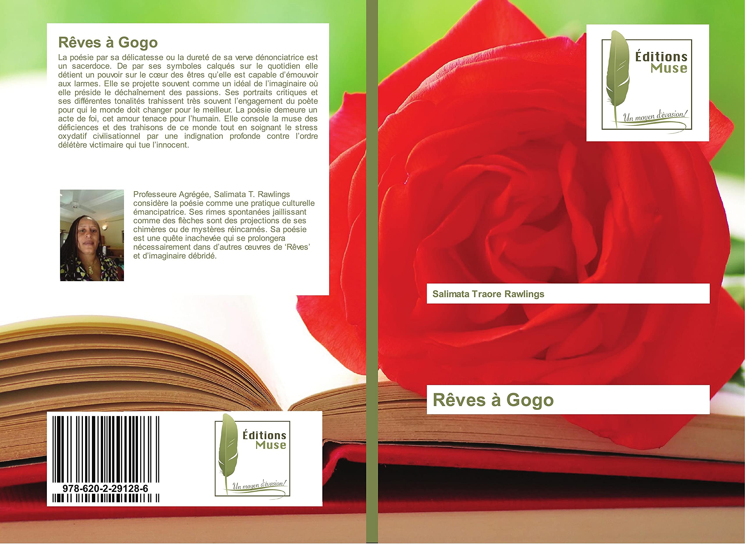 Rêves à Gogo book