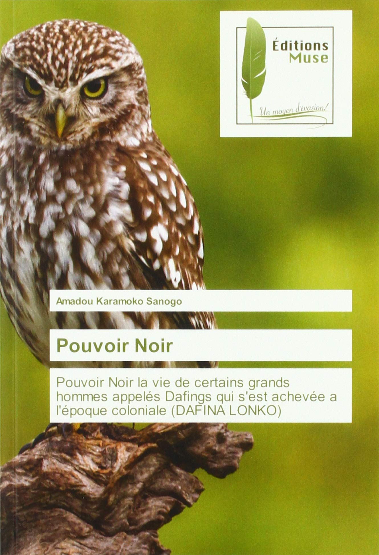 Pouvoir Noir: Pouvoir Noir la vie de certains grands hommes appelés Dafings qui s'est achevée a l'époque coloniale (DAFINA LONKO) book