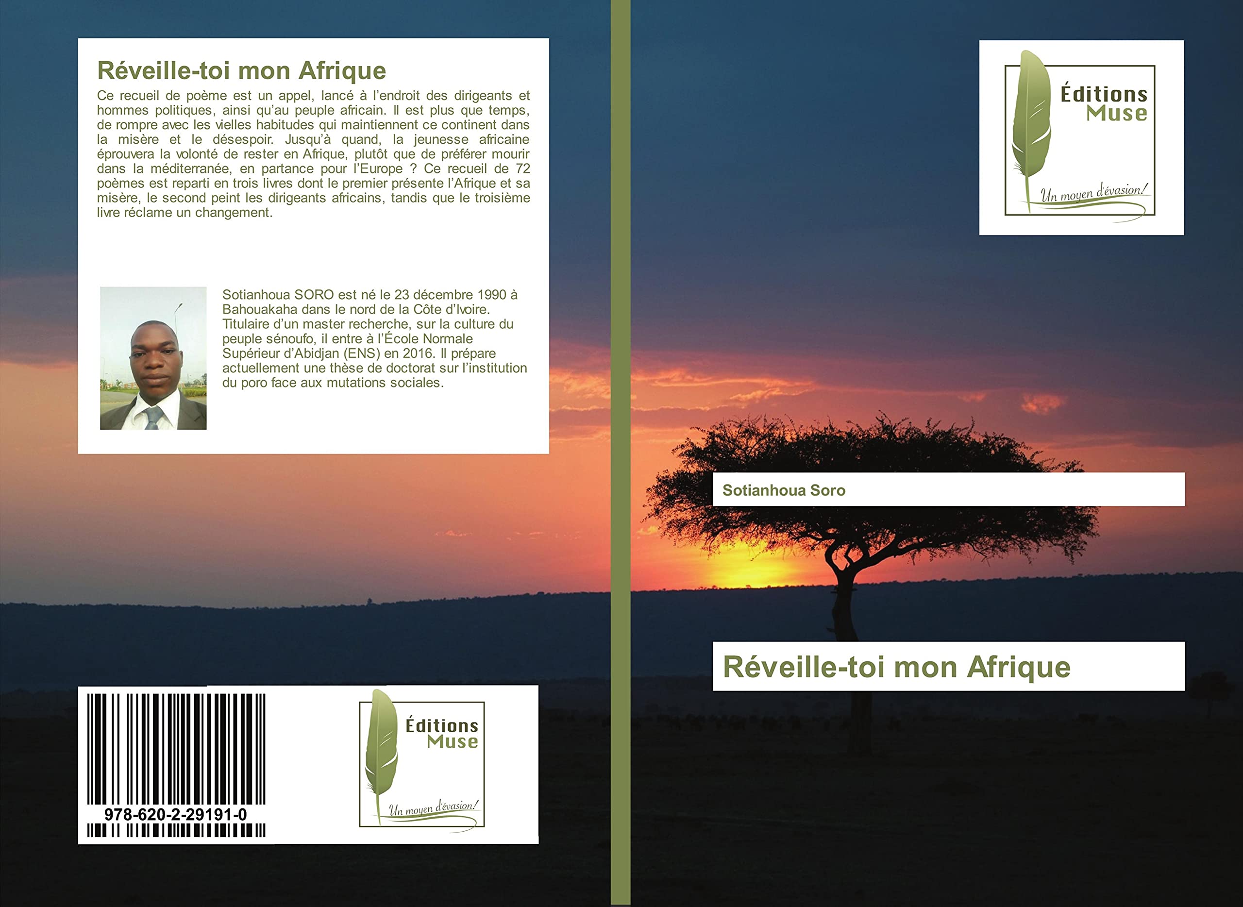 Réveille-toi mon Afrique book