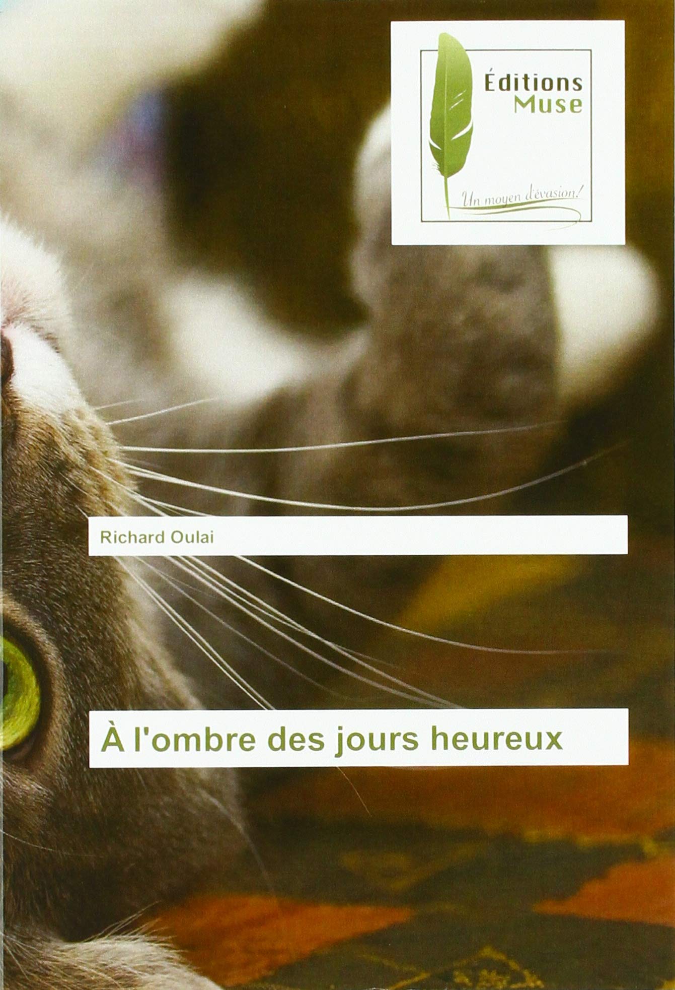 À l'ombre des jours heureux book