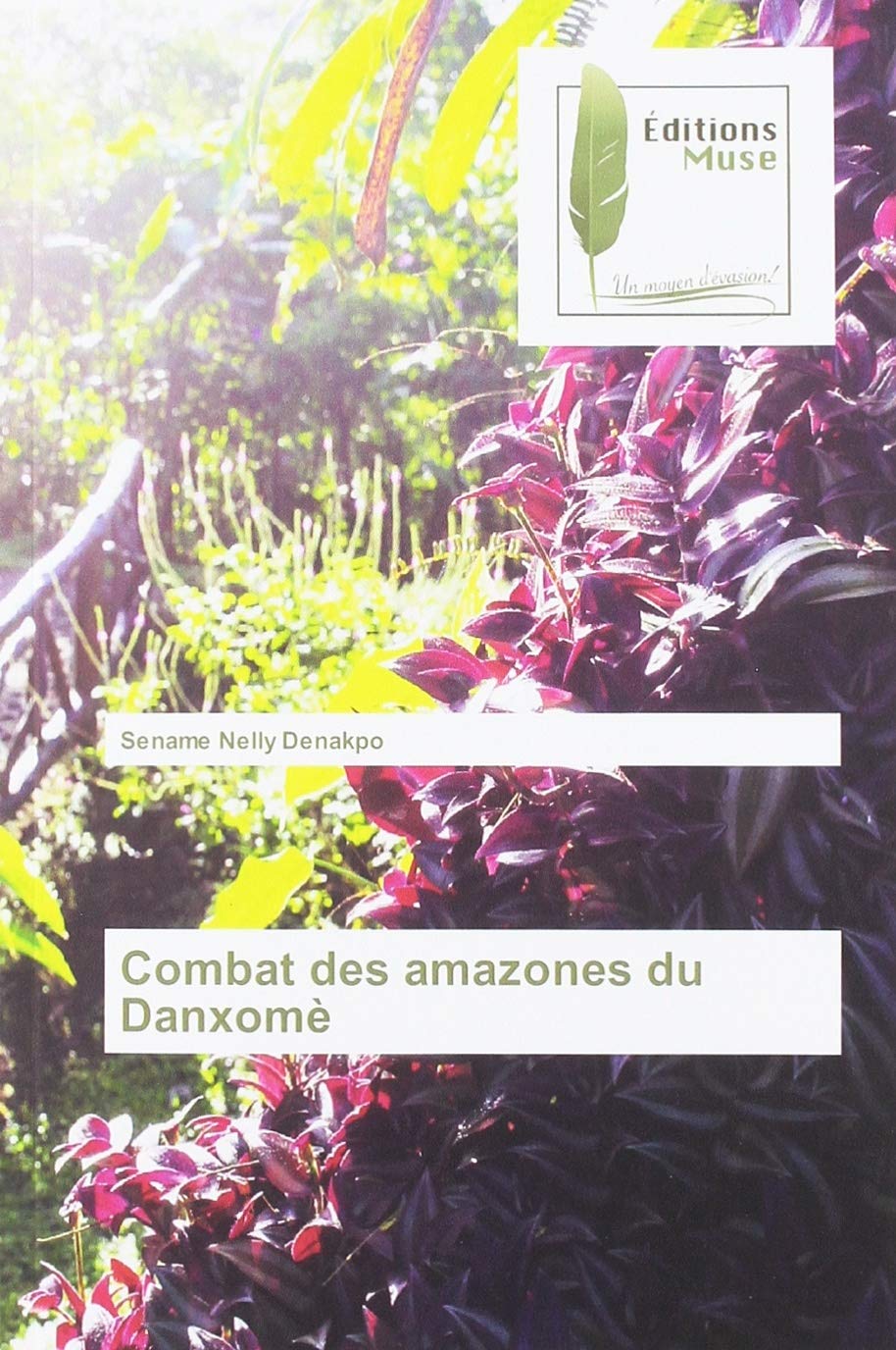 Combat des amazones du Danxomè book