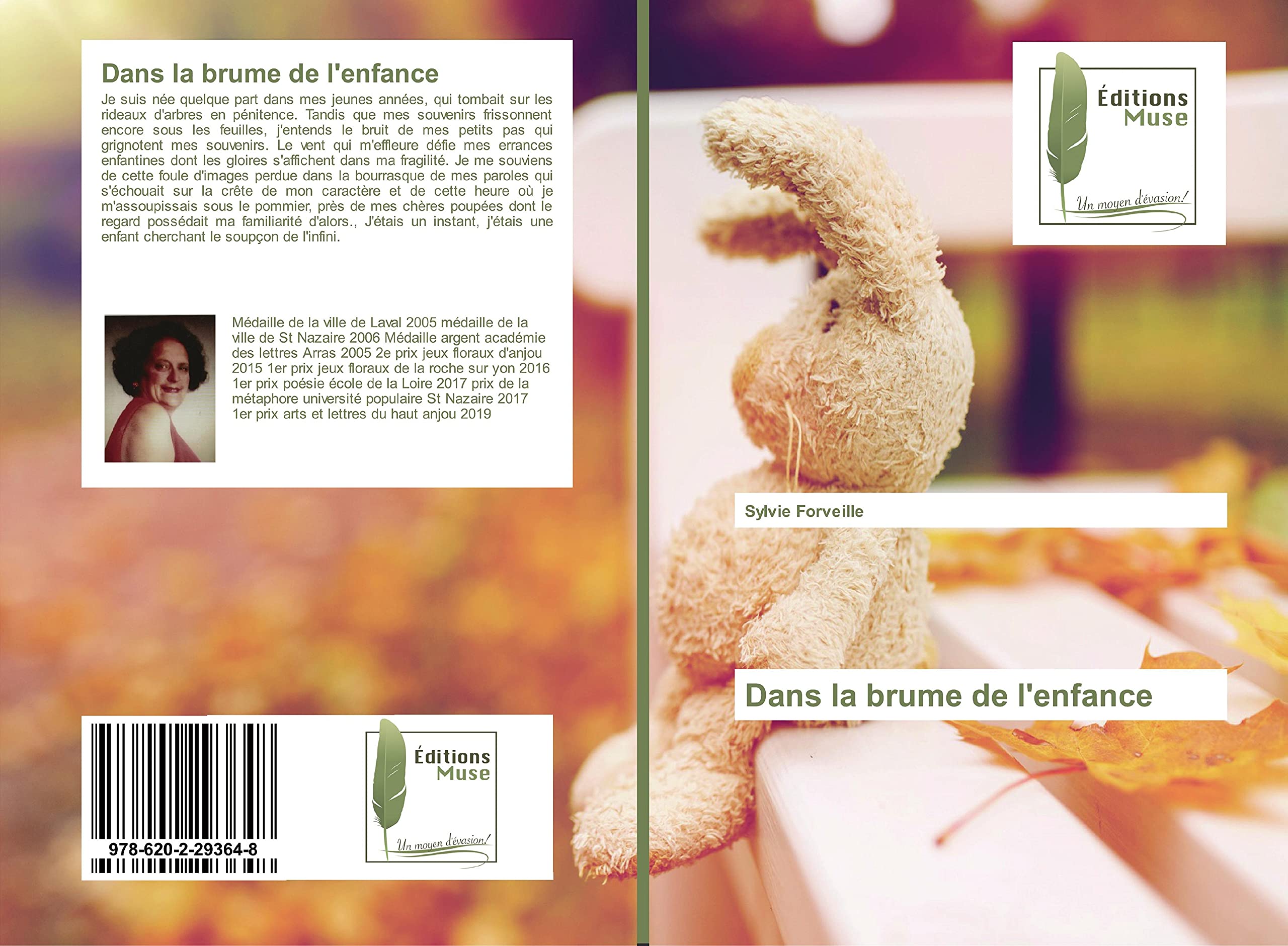 Dans la brume de l'enfance book