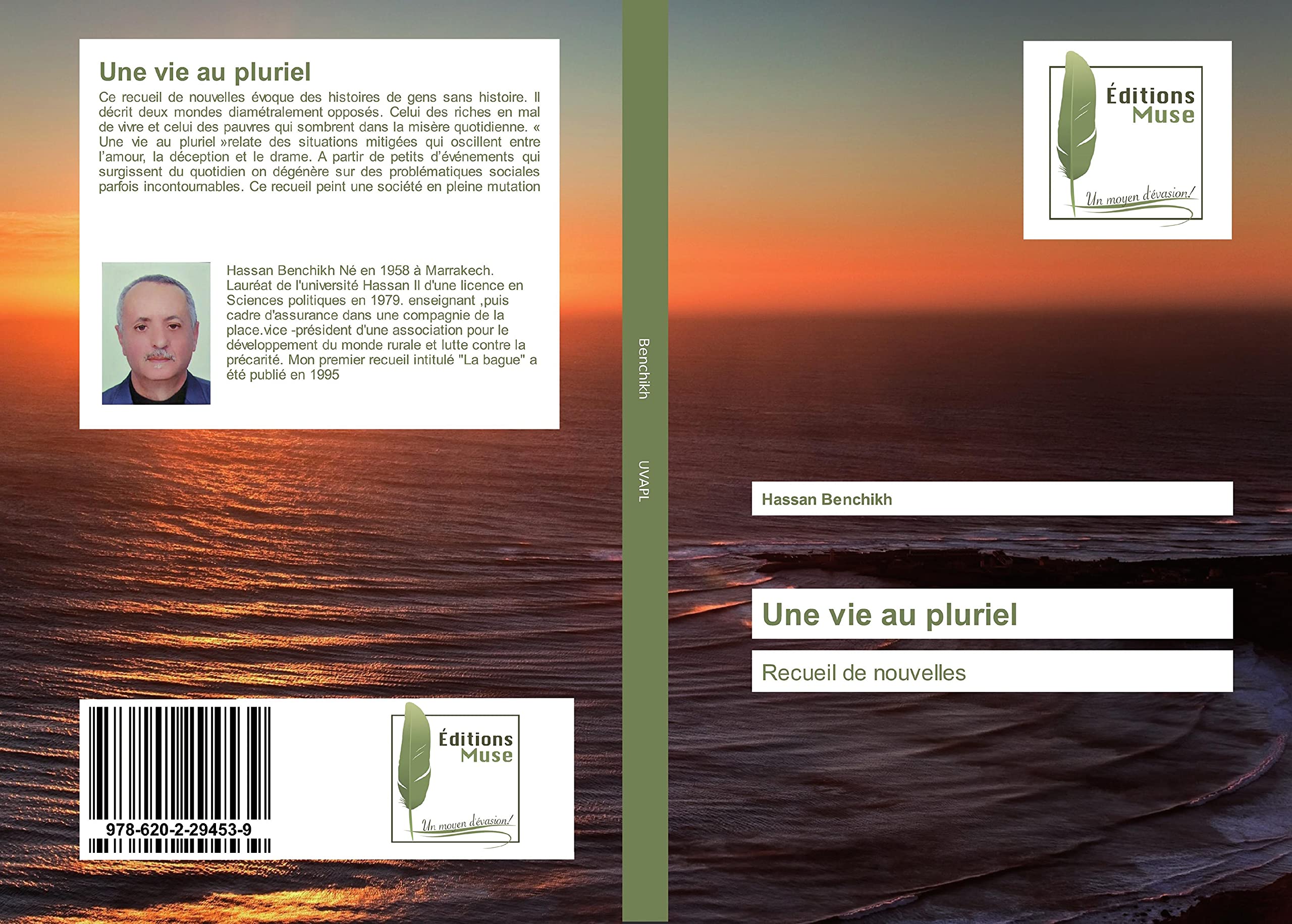 Une vie au pluriel: Recueil de nouvelles book