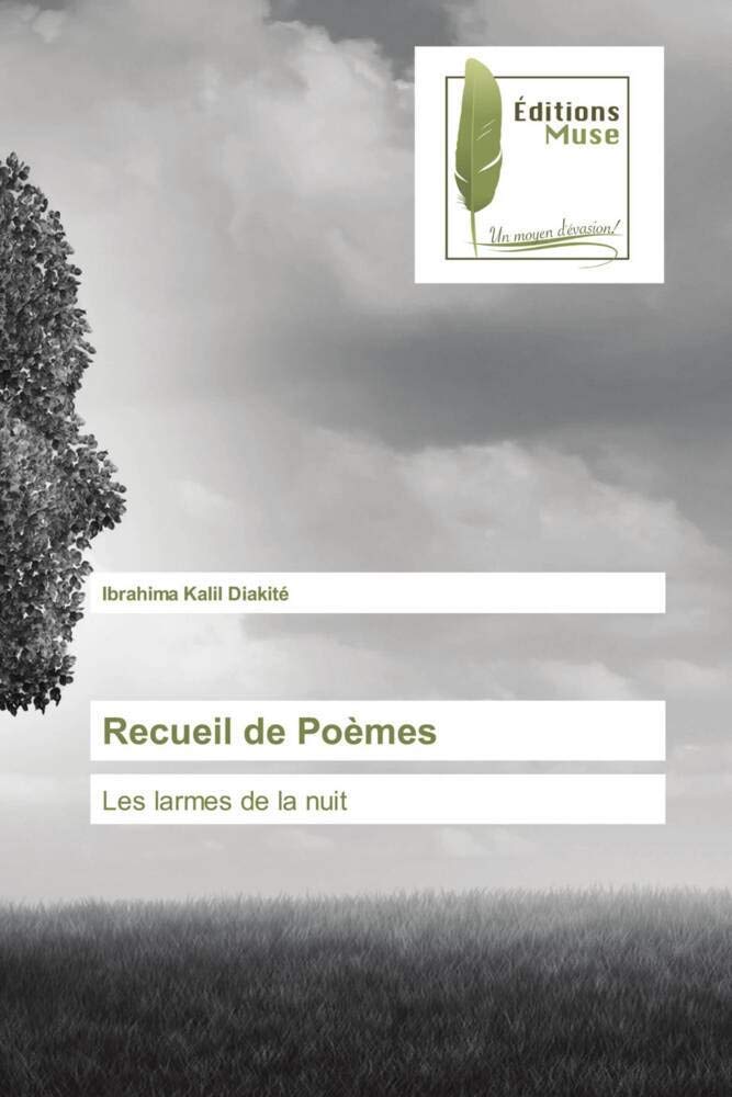 Recueil de Poèmes: Les larmes de la nuit book