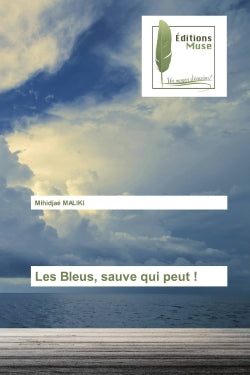 Les Bleus, sauve qui peut ! book