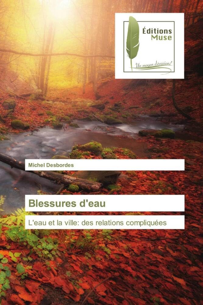 Blessures d'eau: L'eau et la ville: des relations compliquées book