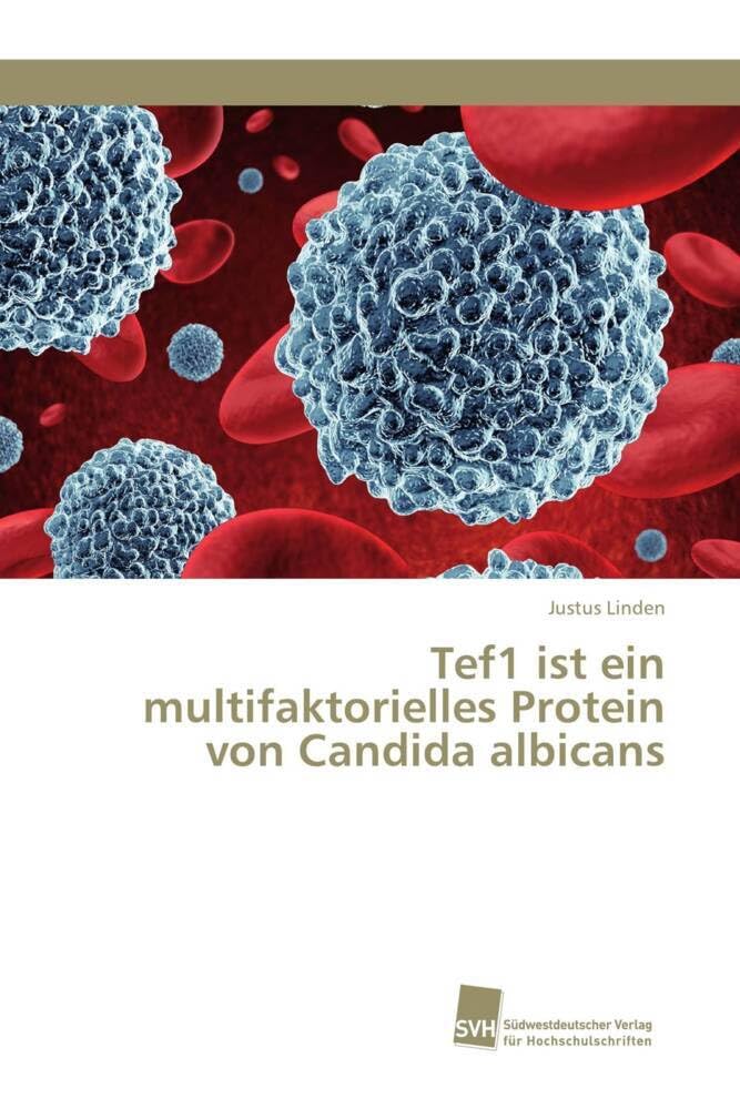Tef1 ist ein multifaktorielles Protein von Candida albicans Medicine