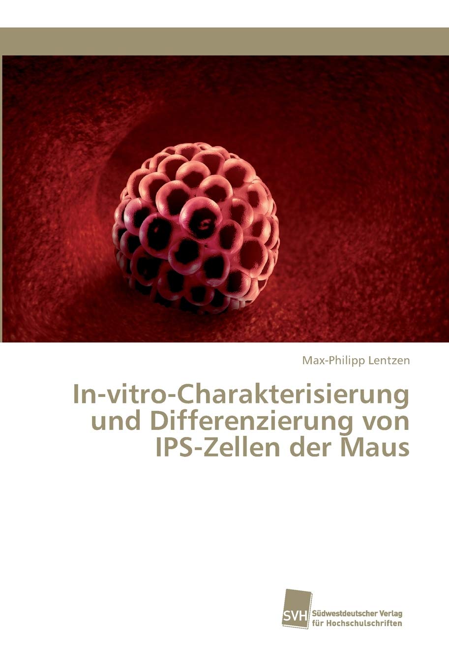 In-vitro-Charakterisierung und Differenzierung von IPS-Zellen der Maus Business & Technology