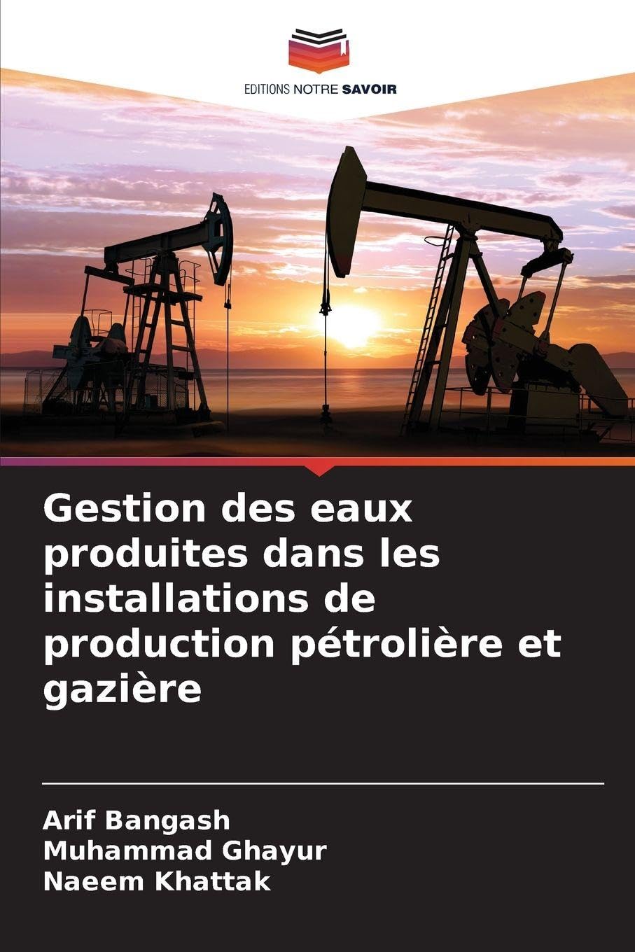Gestion des eaux produites dans les installations de production pétrolière et gazière Business & Technology