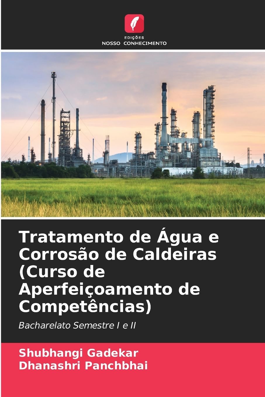 Tratamento de Água e Corrosão de Caldeiras (Curso de Aperfeiçoamento de Competências) Religion & Esotericism