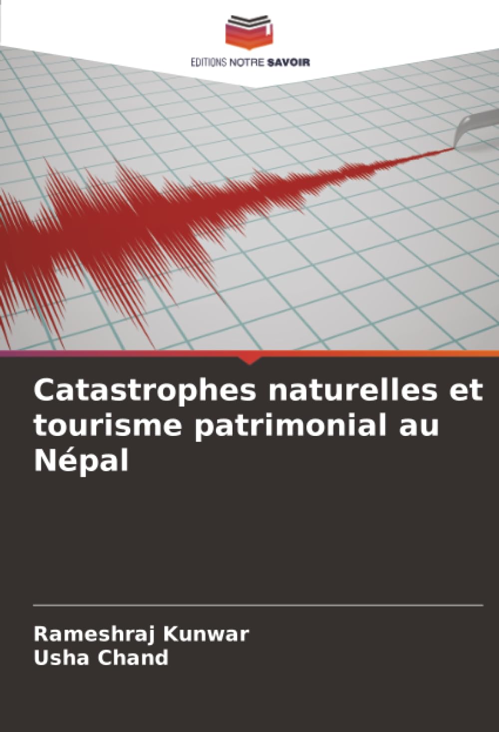 Catastrophes naturelles et tourisme patrimonial au Népal Natural Sciences