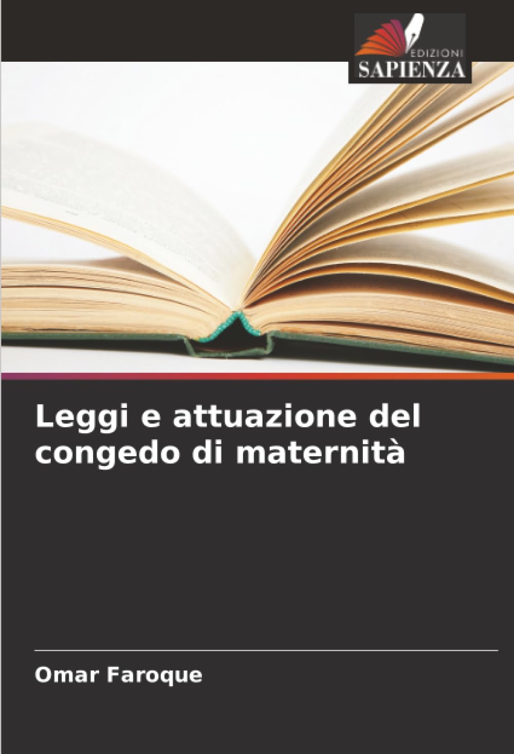 Leggi e attuazione del congedo di maternità Law