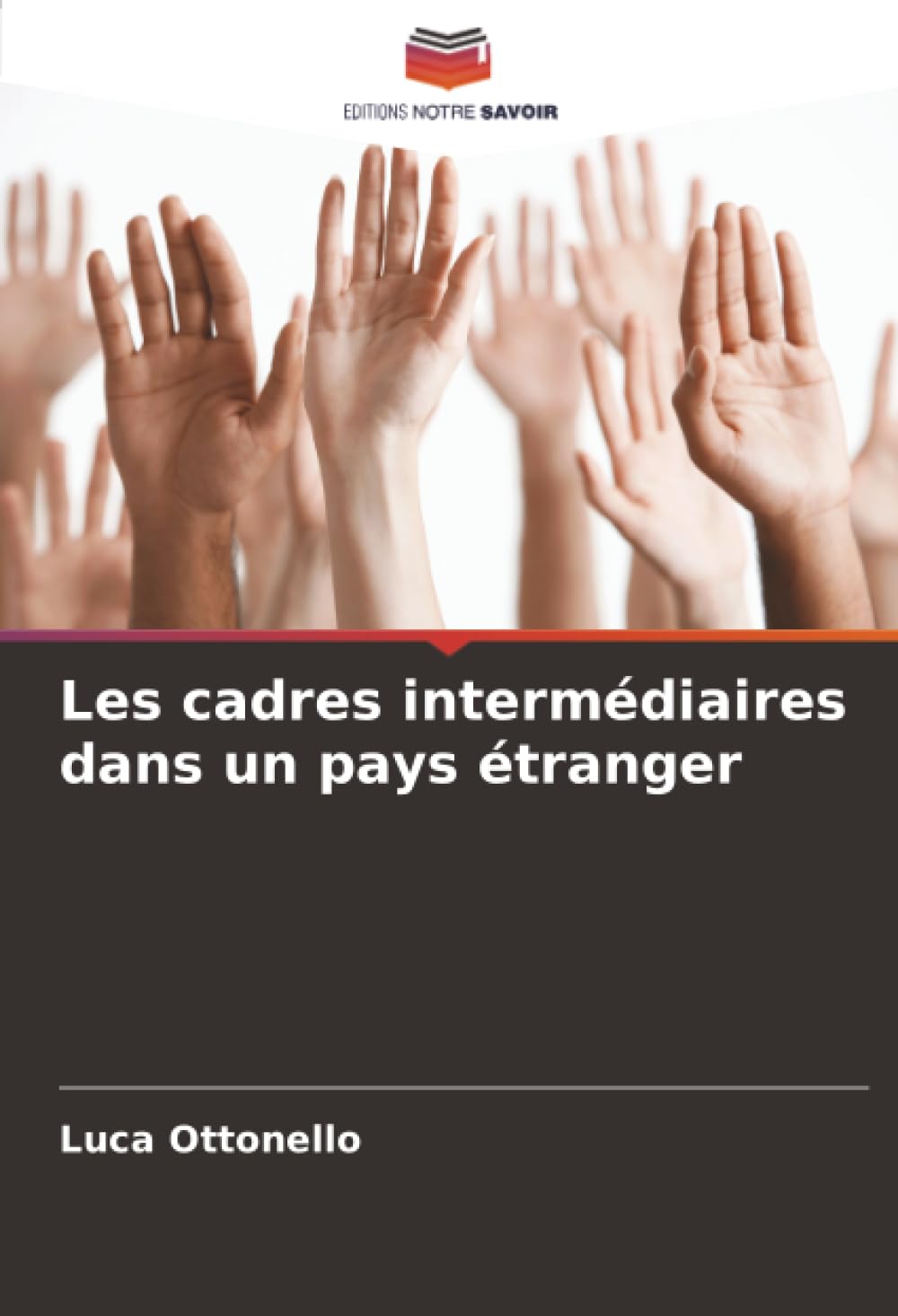 Les cadres intermédiaires dans un pays étranger: DE Law