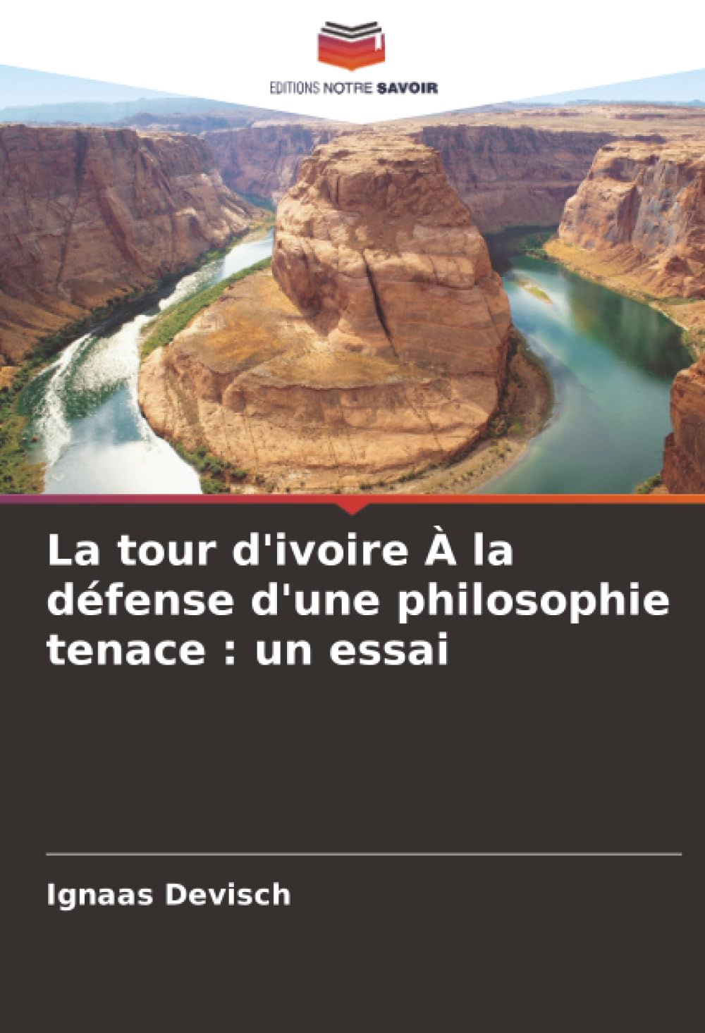 La tour d'ivoire À la défense d'une philosophie tenace : un essai Philosophy