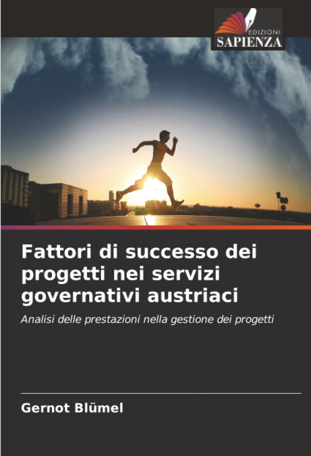 Fattori di successo dei progetti nei servizi governativi austriaci Law