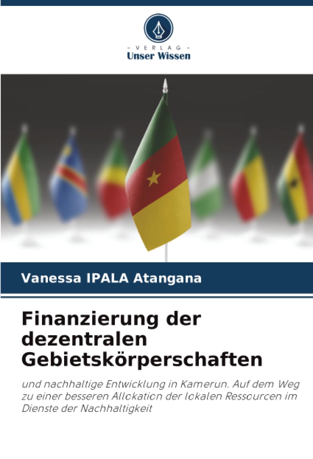Finanzierung der dezentralen Gebietskörperschaften Books