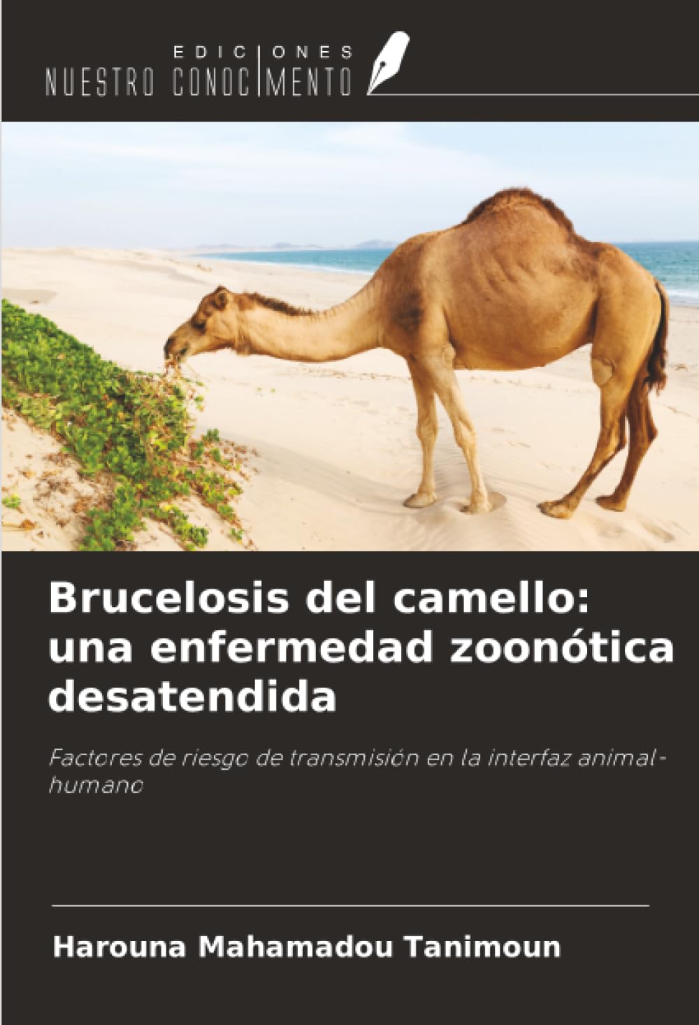 Brucelosis del camello: una enfermedad zoonótica desatendida Medicine