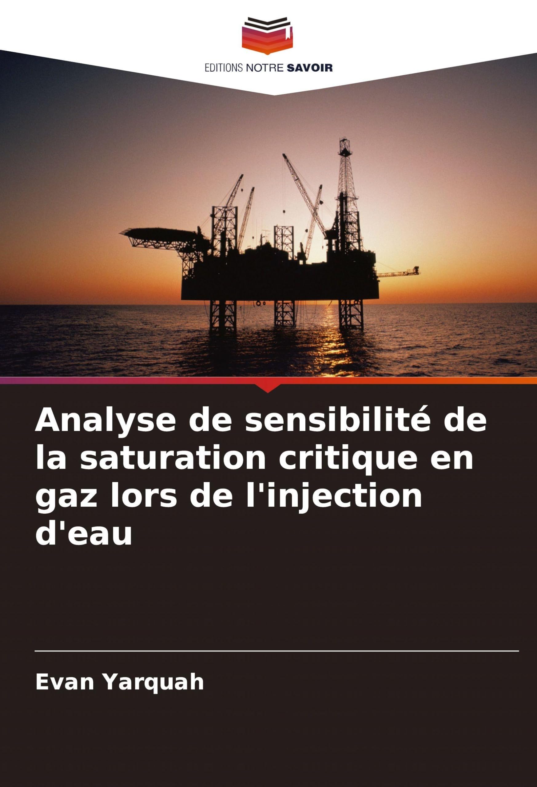 Analyse de sensibilité de la saturation critique en gaz lors de l'injection d'eau Law
